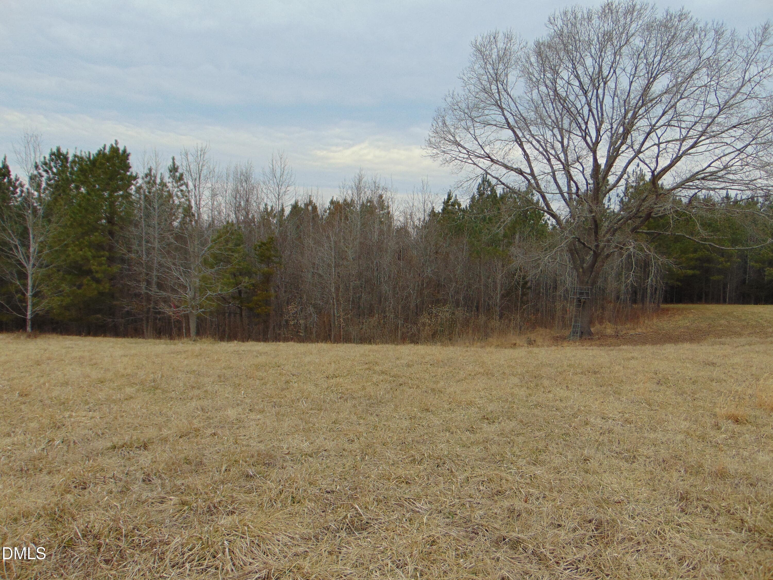 DSC01428 - 13 Lone Oak Trail, Providence, NC 27315