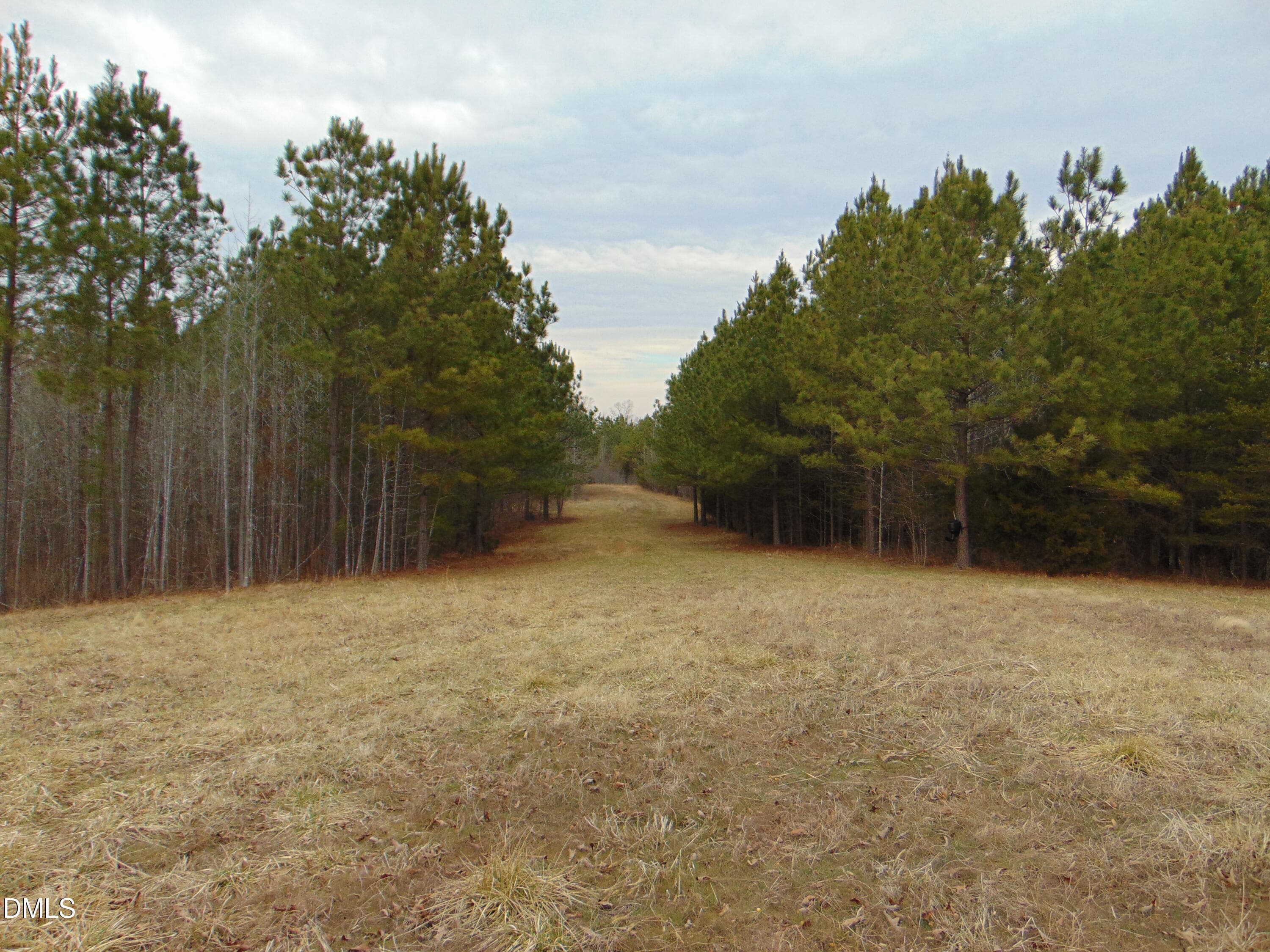 DSC01430 - 13 Lone Oak Trail, Providence, NC 27315