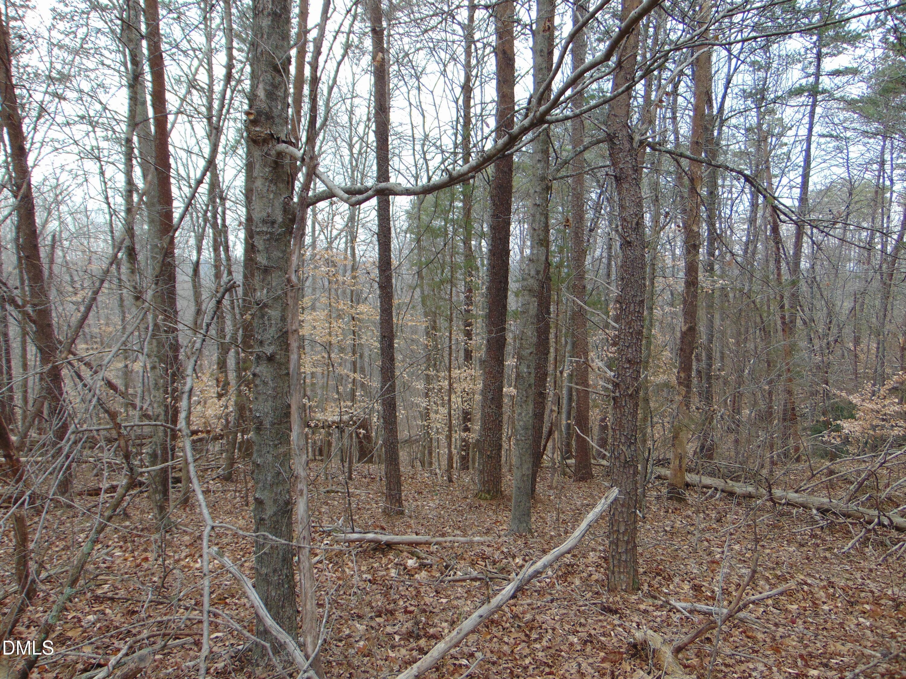 DSC01431 - 13 Lone Oak Trail, Providence, NC 27315