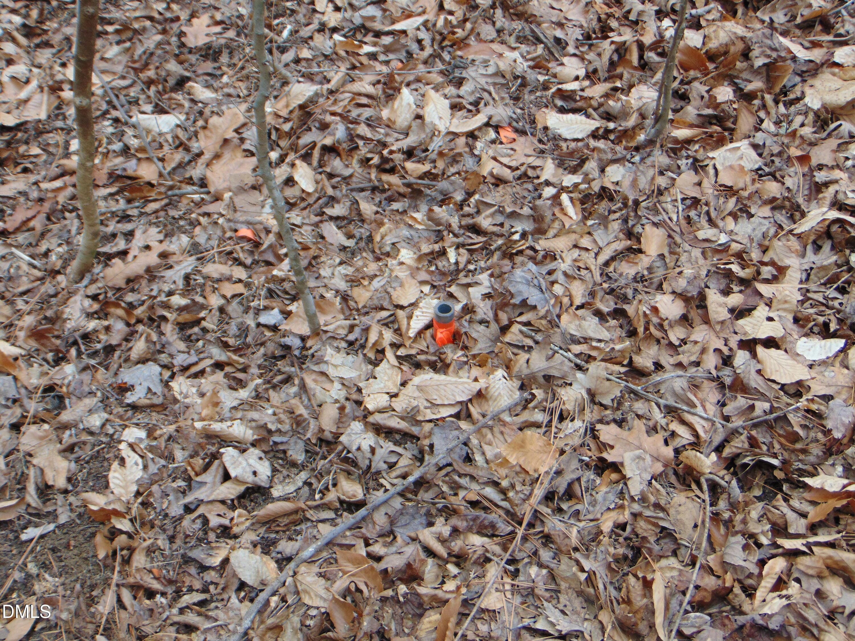 DSC01432 - 13 Lone Oak Trail, Providence, NC 27315