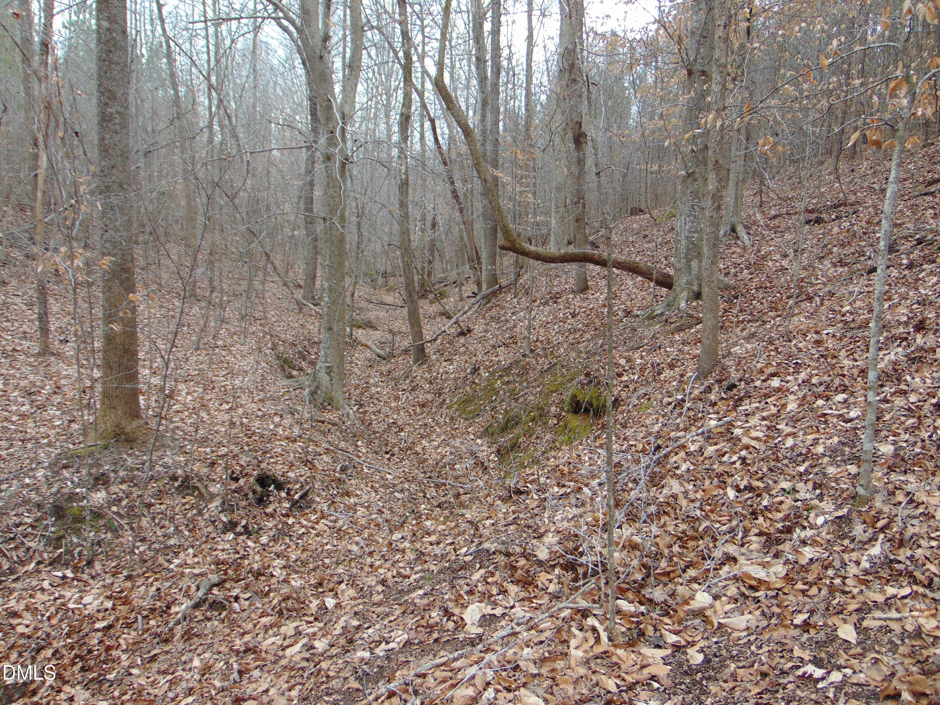 DSC01433 - 13 Lone Oak Trail, Providence, NC 27315