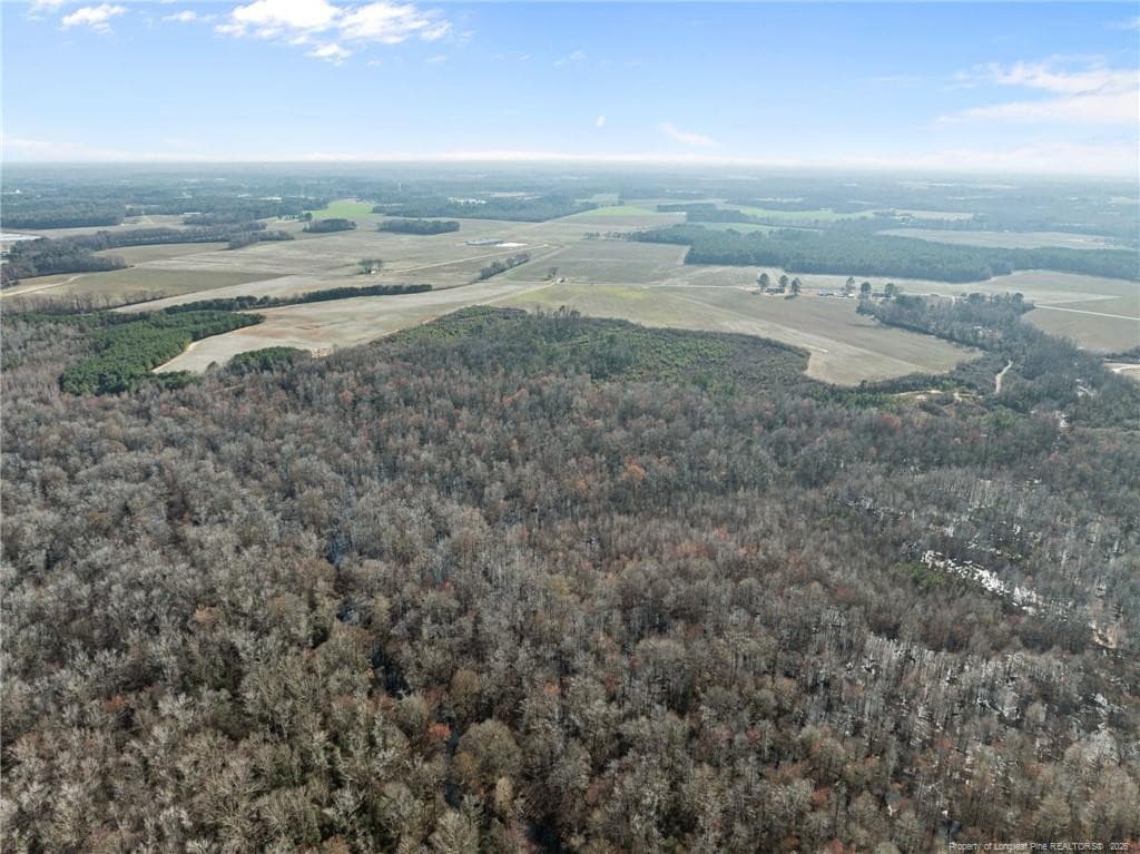 Photo 14 - 2876 Dunn Road, Roseboro, NC 28382