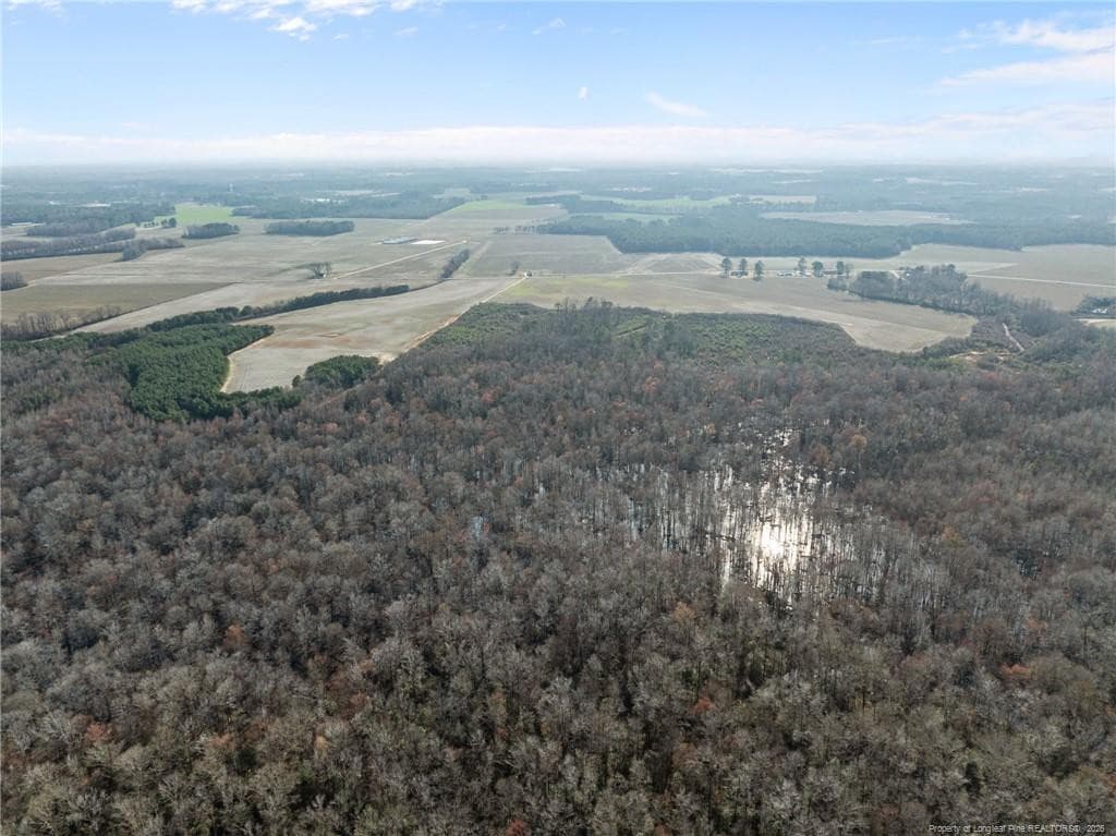 Photo 15 - 2876 Dunn Road, Roseboro, NC 28382