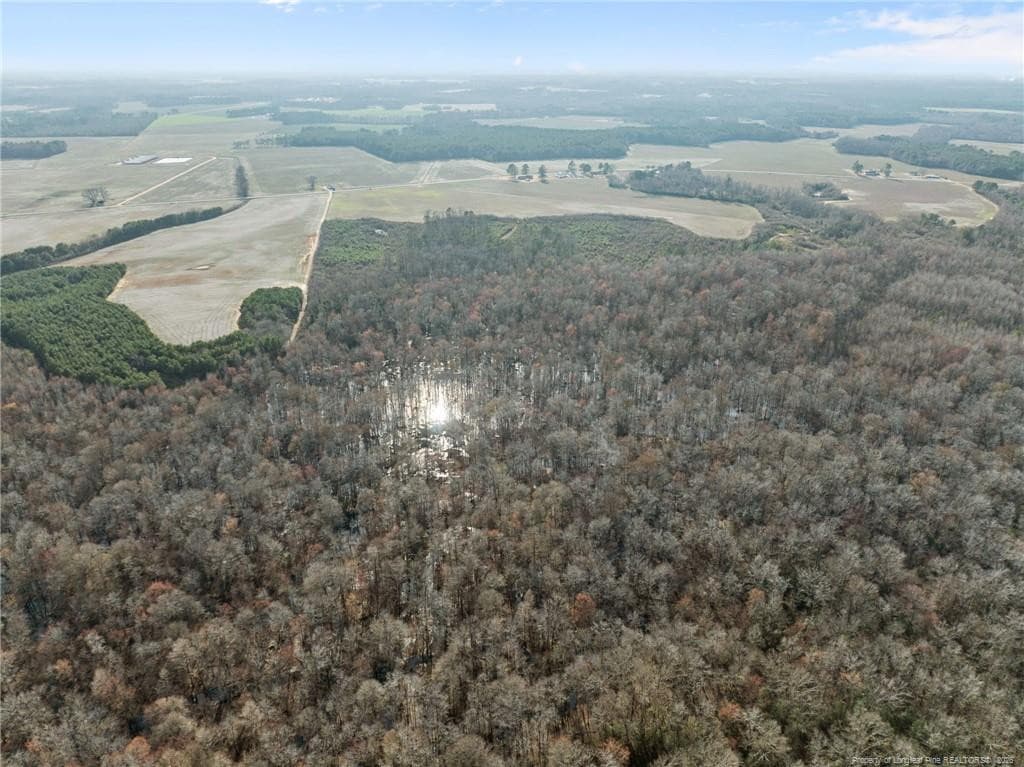 Photo 16 - 2876 Dunn Road, Roseboro, NC 28382