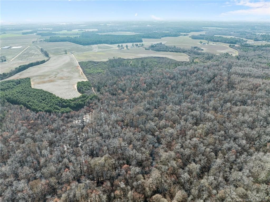 Photo 17 - 2876 Dunn Road, Roseboro, NC 28382