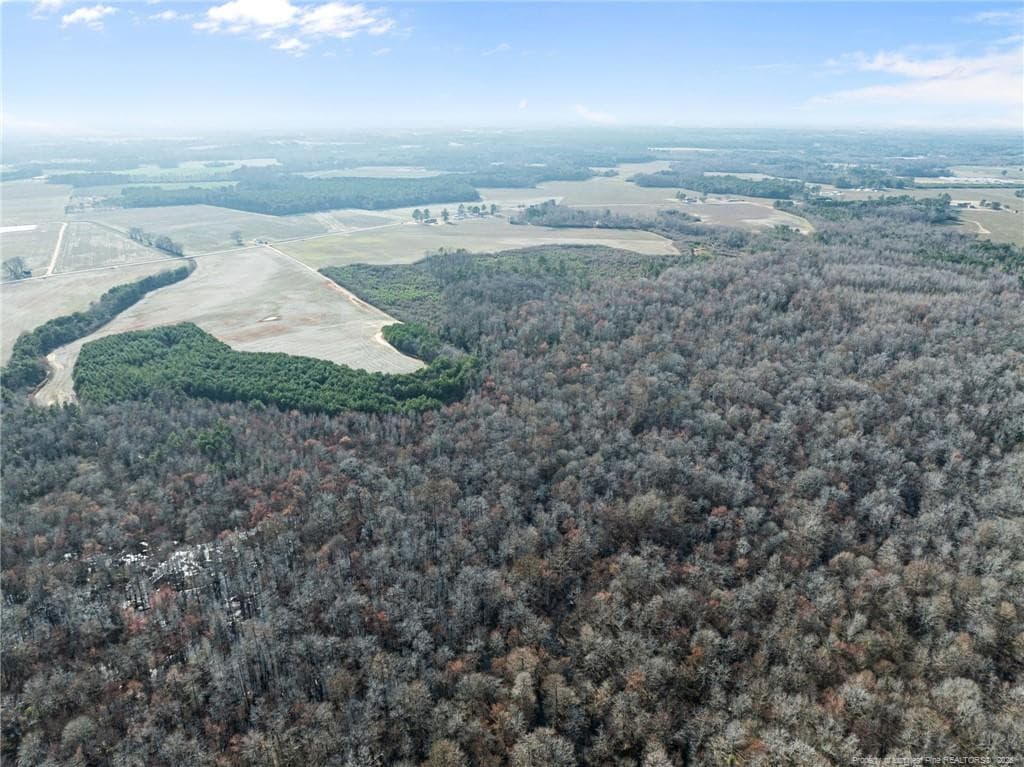 Photo 18 - 2876 Dunn Road, Roseboro, NC 28382