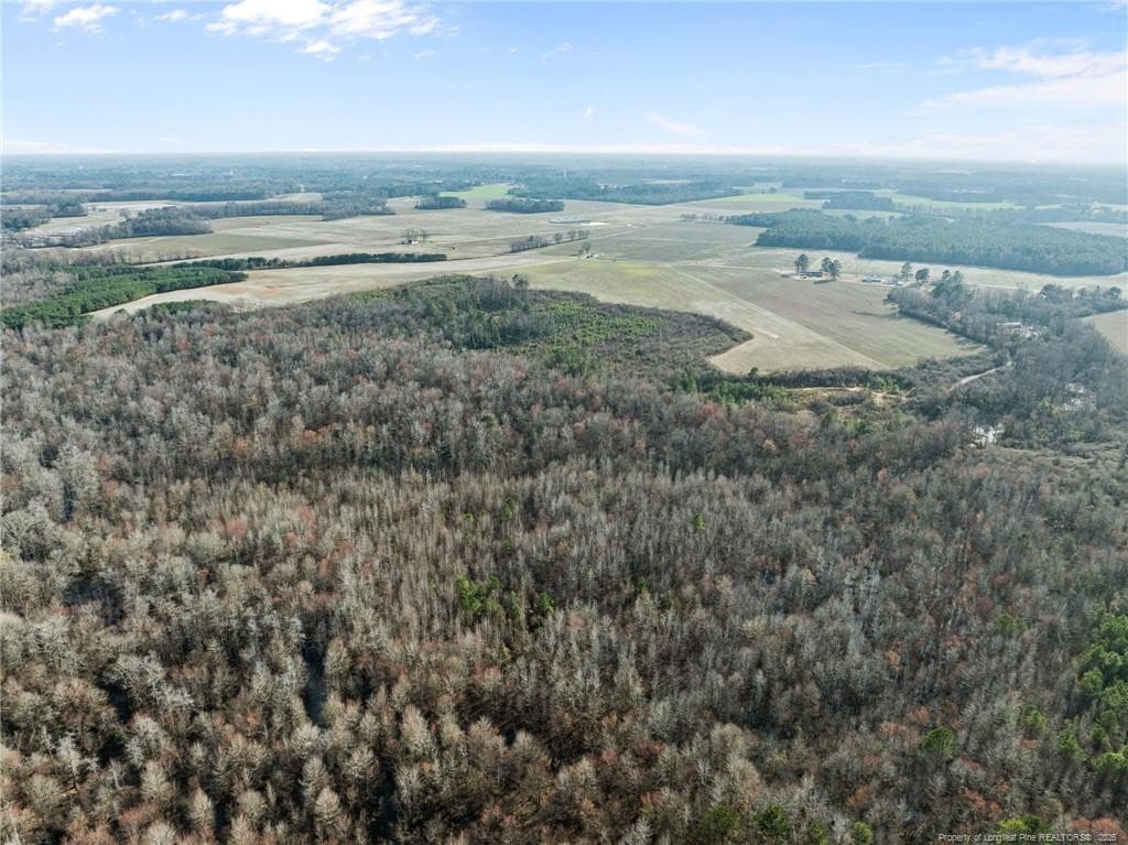 Photo 13 - 2876 Dunn Road, Roseboro, NC 28382