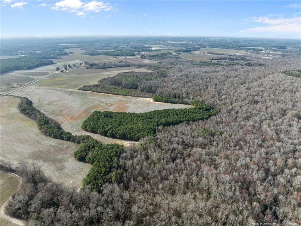 Photo 19 - 2876 Dunn Road, Roseboro, NC 28382