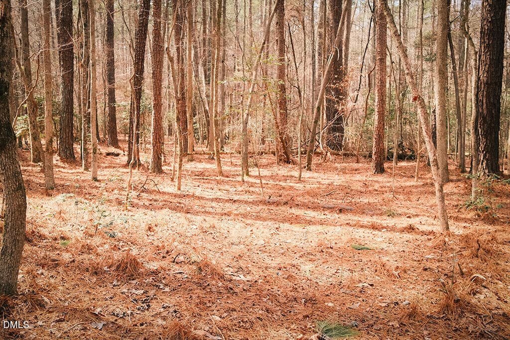 DSCF8693 - 000 Ferguson Road, Chapel Hill, NC 27516, Chapel Hill
