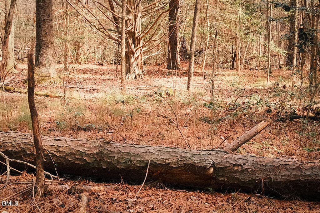 DSCF8700 - 000 Ferguson Road, Chapel Hill, NC 27516, Chapel Hill