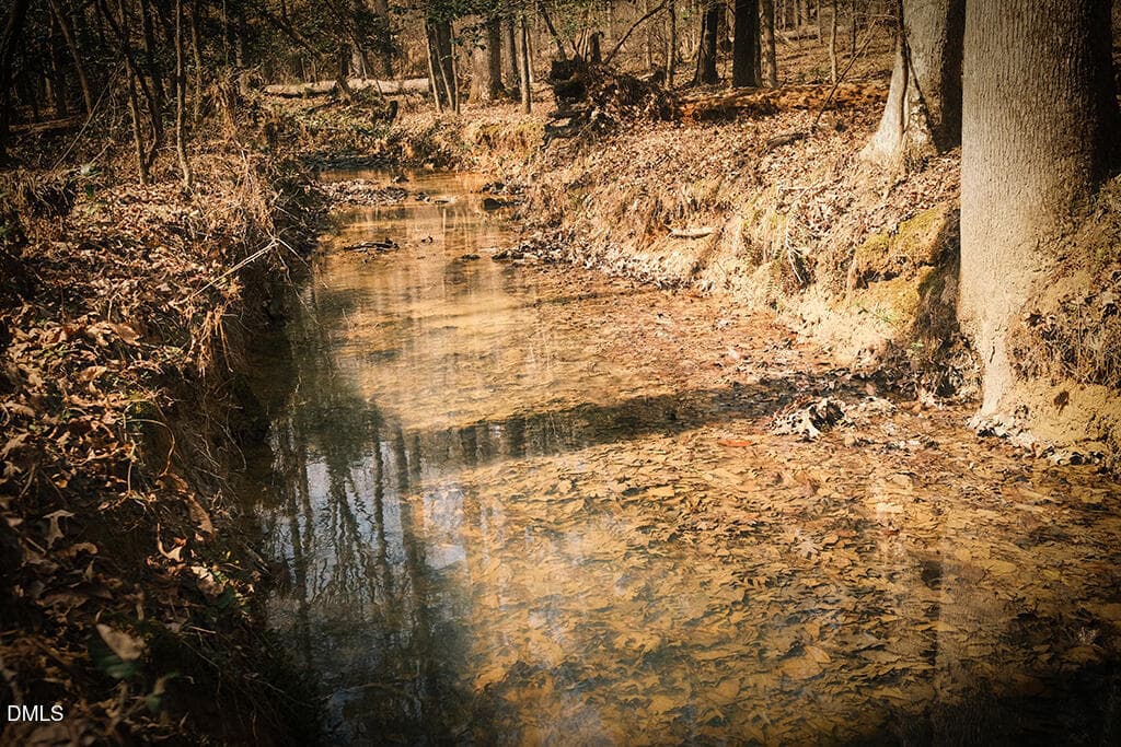 DSCF8730 - 000 Ferguson Road, Chapel Hill, NC 27516, Chapel Hill