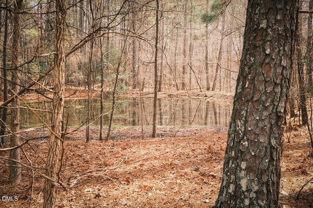 Pond - 000 Ferguson Road, Chapel Hill, NC 27516, Chapel Hill