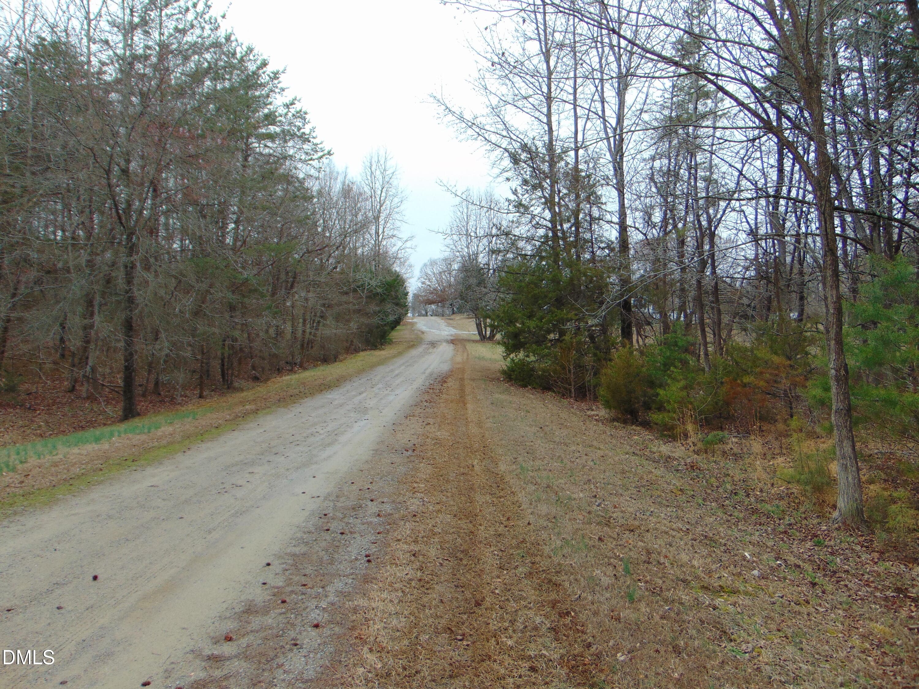 DSC01434 - 0 Fowlkes Road, Pelham, NC 27311