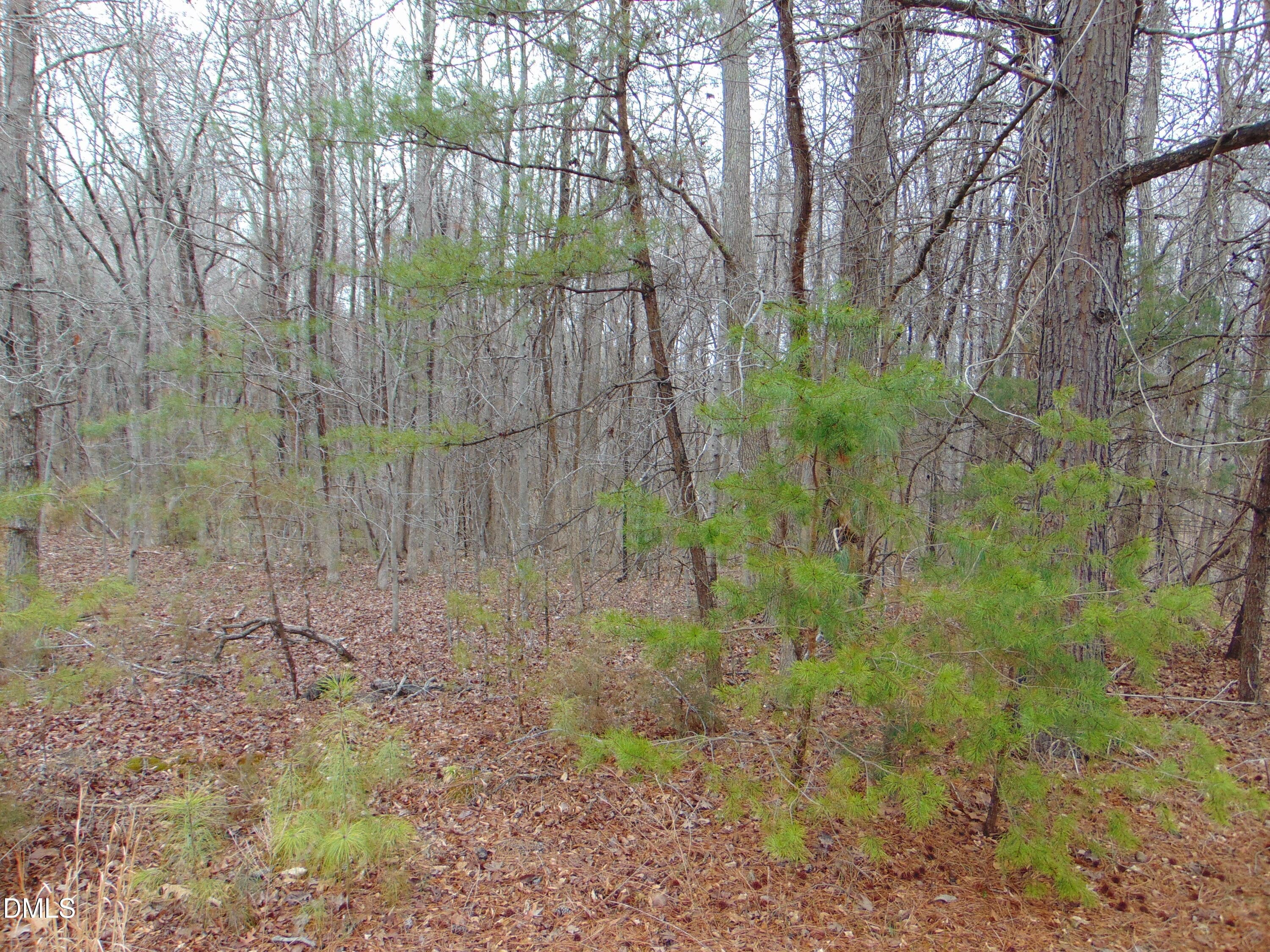 DSC01435 - 0 Fowlkes Road, Pelham, NC 27311