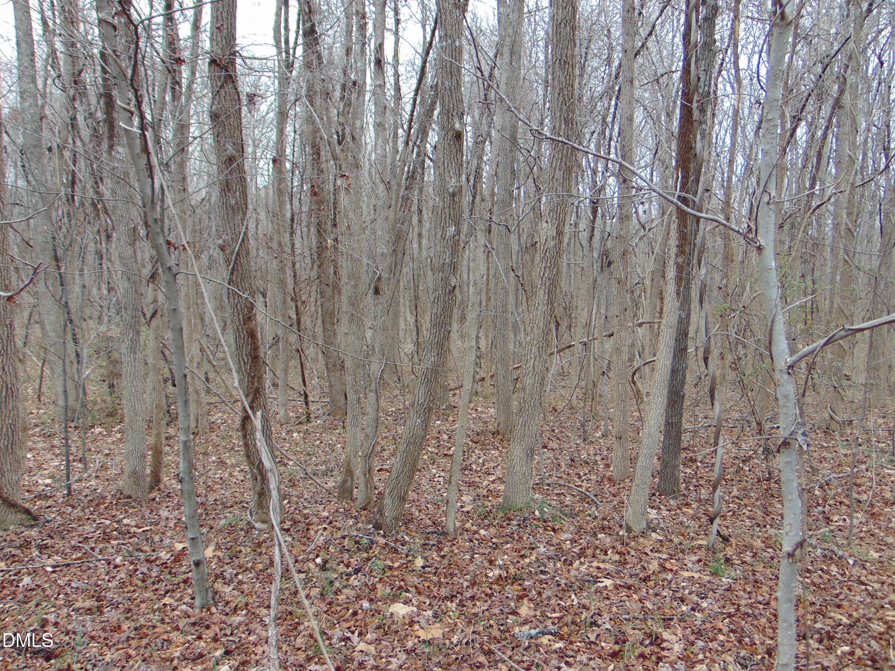 DSC01436 - 0 Fowlkes Road, Pelham, NC 27311