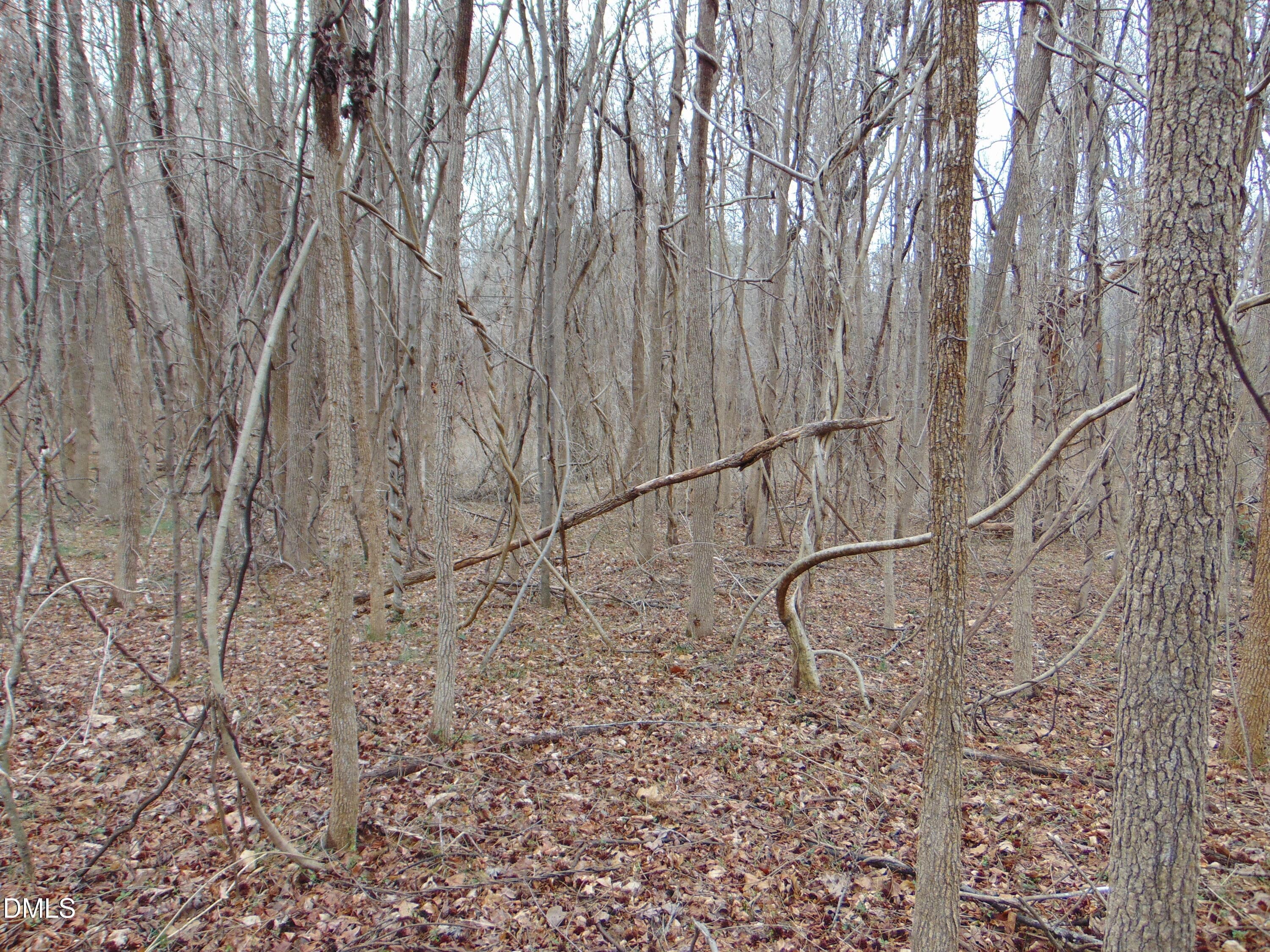 DSC01437 - 0 Fowlkes Road, Pelham, NC 27311
