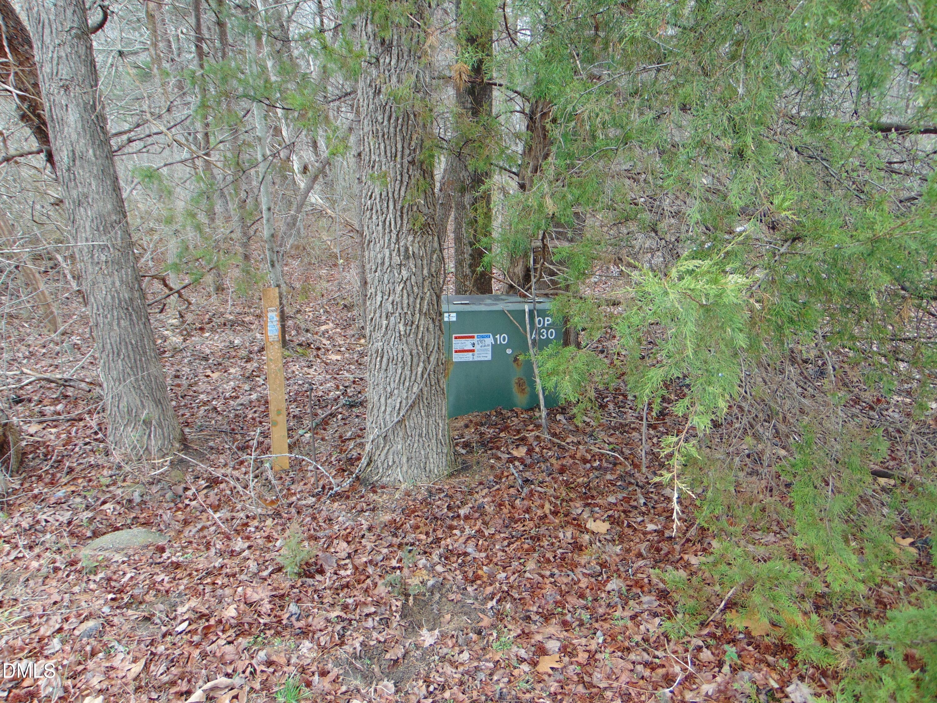 DSC01438 - 0 Fowlkes Road, Pelham, NC 27311