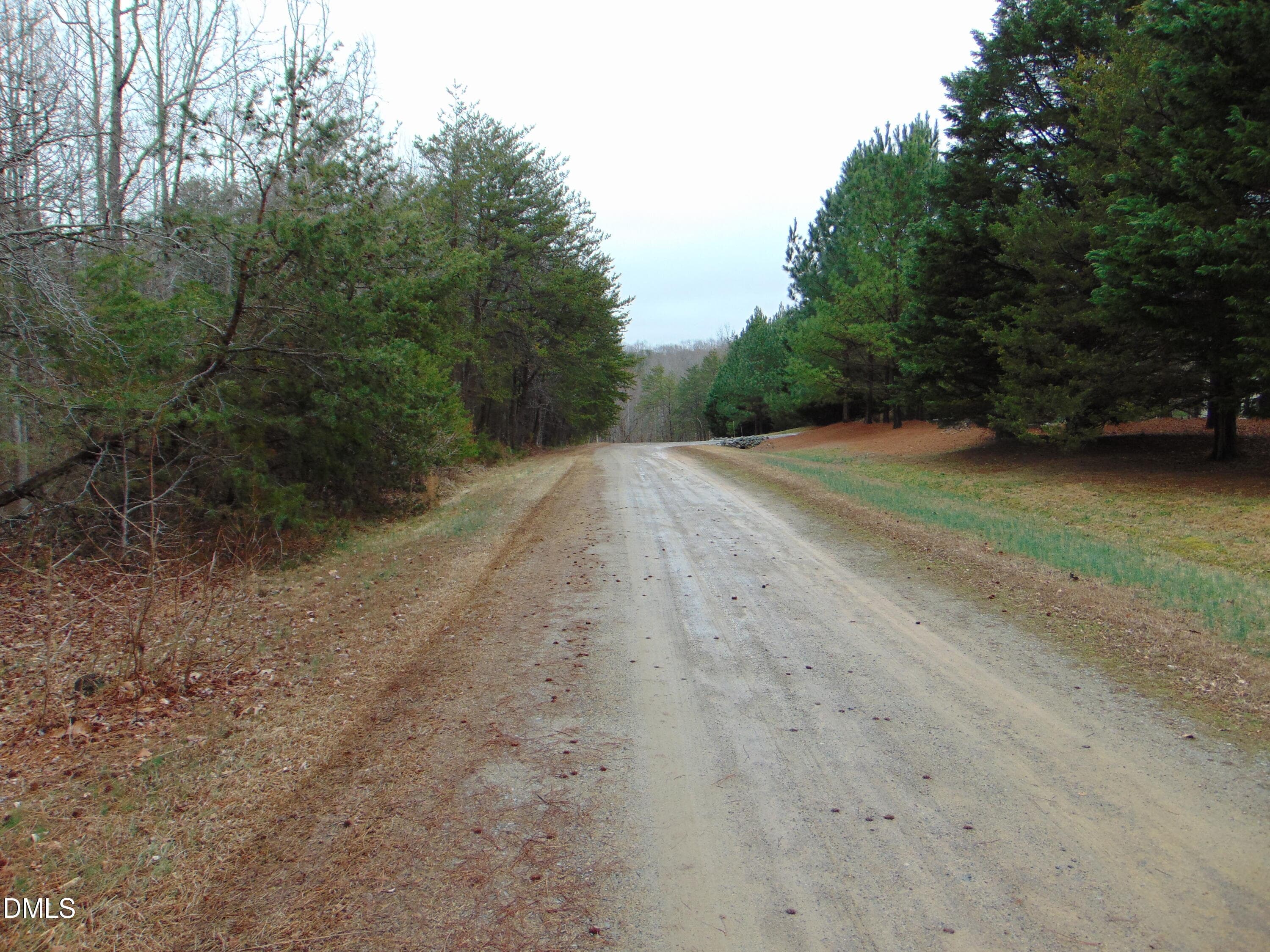 DSC01439 - 0 Fowlkes Road, Pelham, NC 27311
