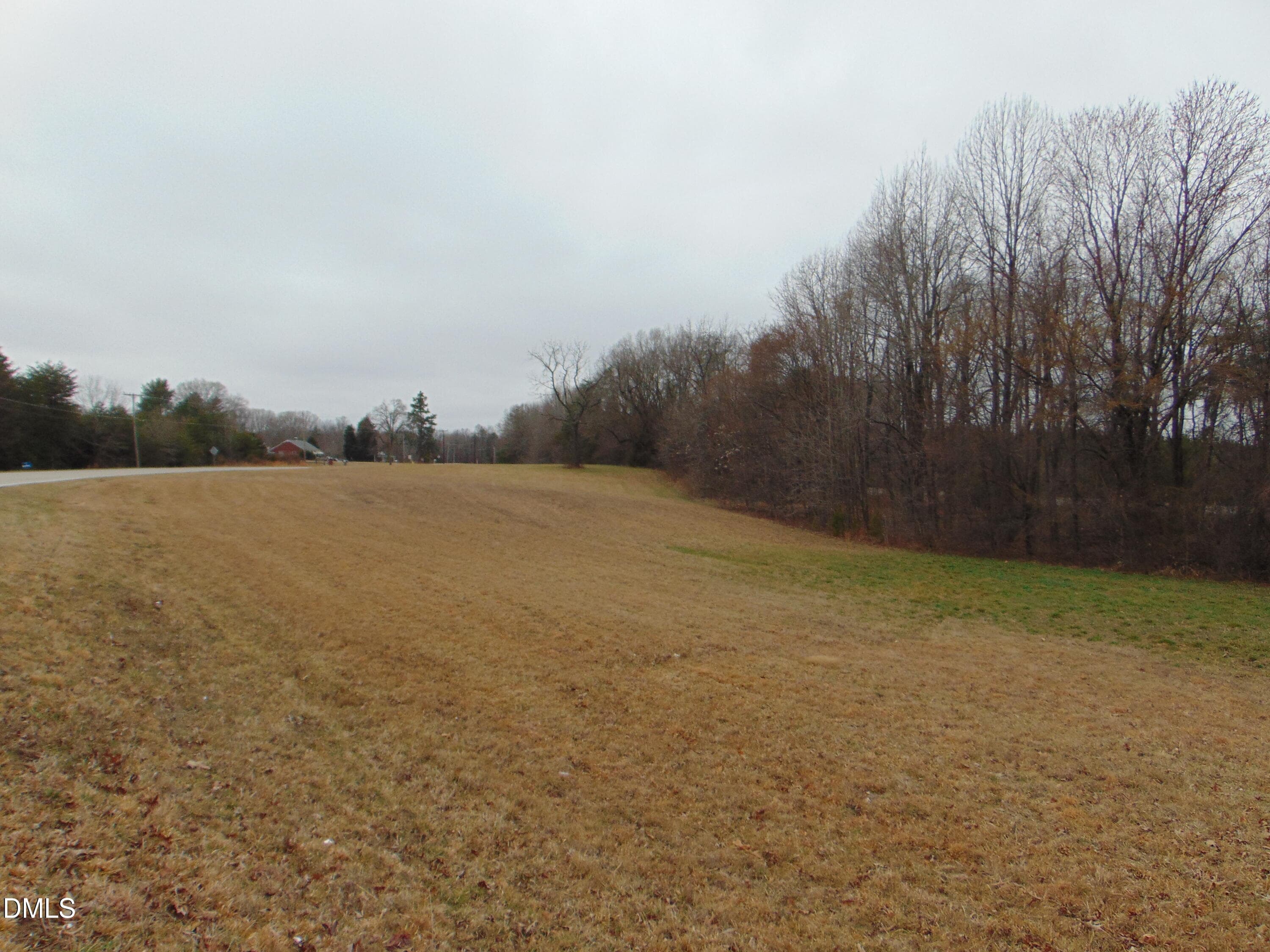 DSC01450 - 0 Old Us 29 Highway, Pelham, NC 27311