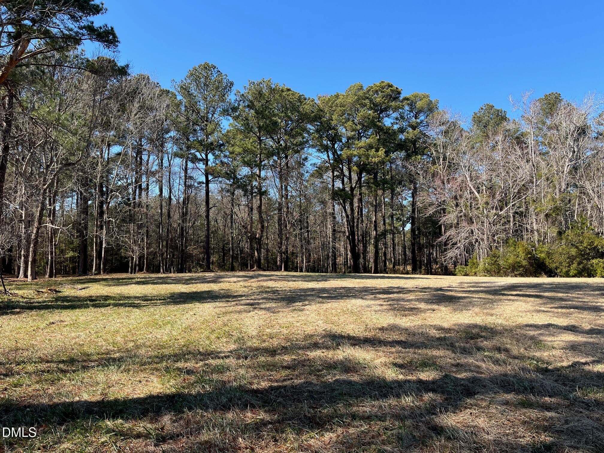 IMG_6671 - 62 Currituck Court, Oriental, NC 28571, Oriental