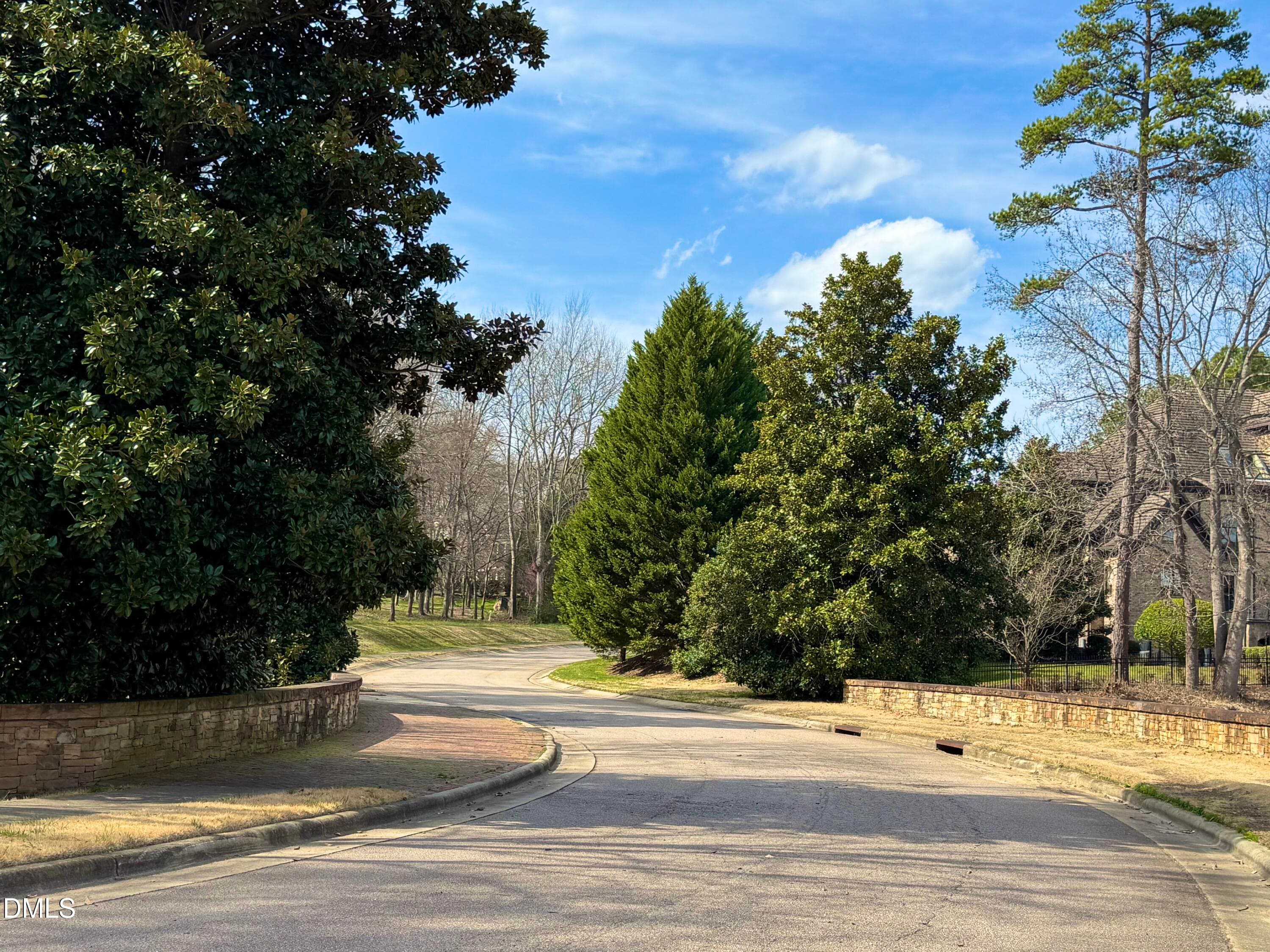 Street Inside Rosemont - 2325 Victoria Park Lane, Raleigh, NC 27614, Raleigh