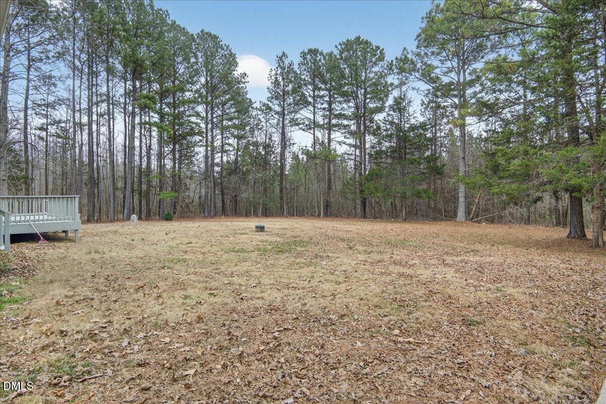 Back yard - 4098 Charlie Harris Road, Oxford, NC 27565