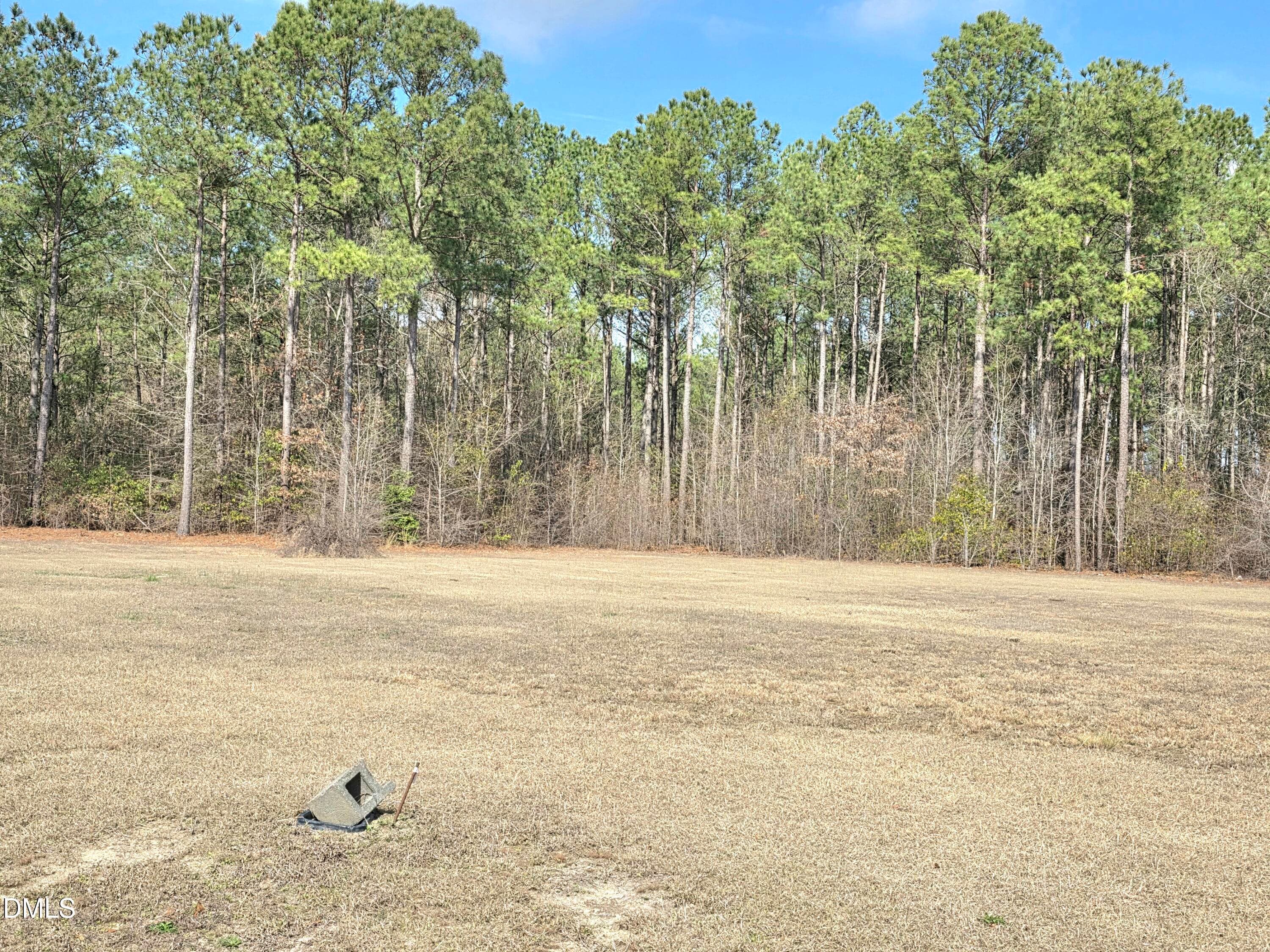 20260306_111822 - 290 Raynor Sands Drive, Dunn, NC 28334, Dunn