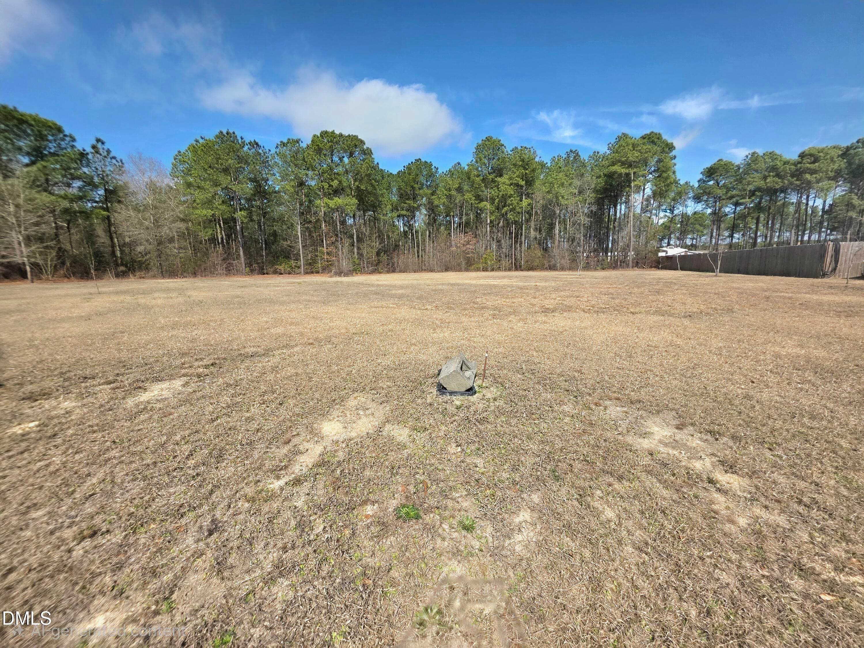 290 Raynor Sands Drive, Dunn, NC 28334