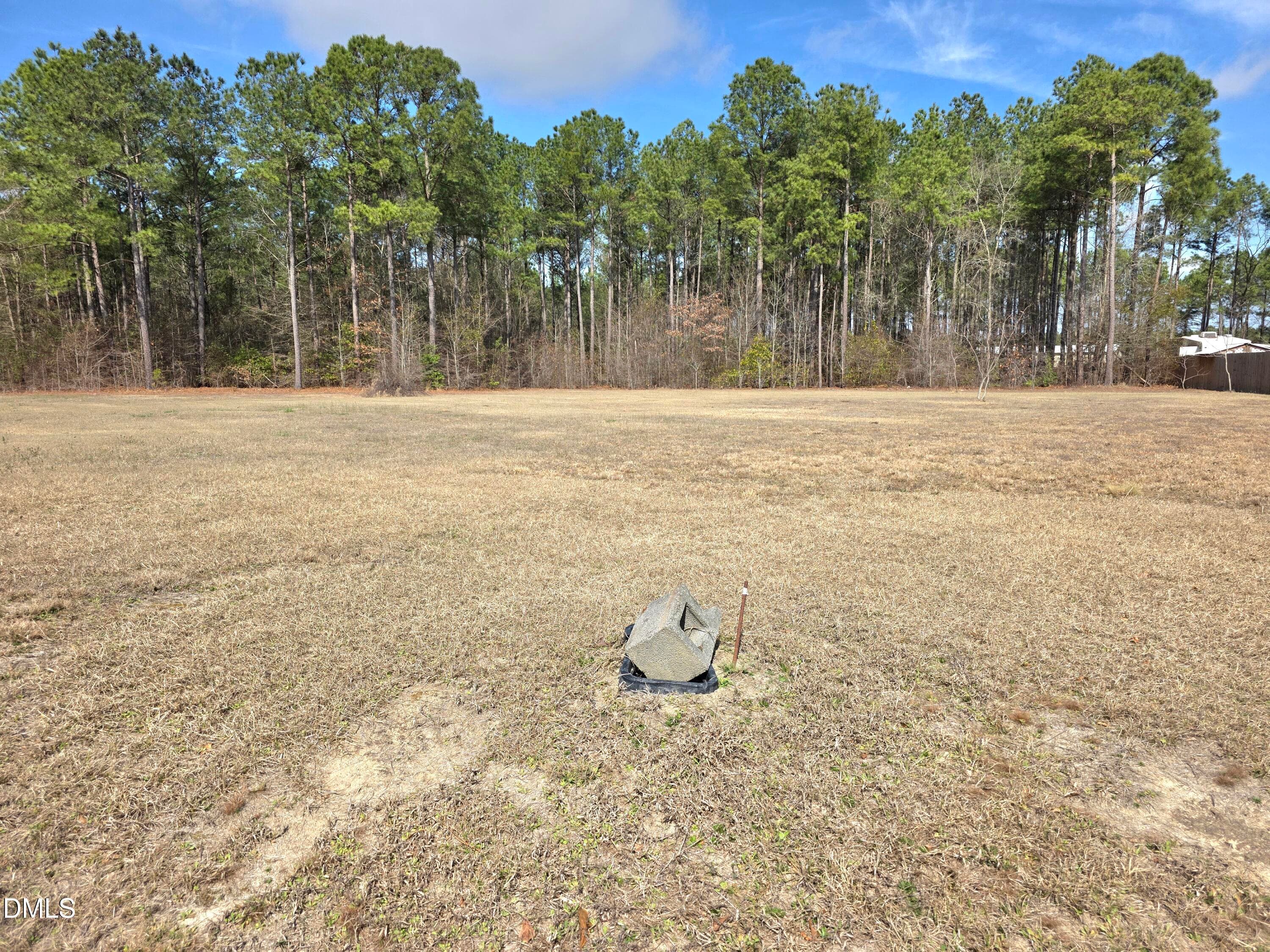 20260306_111910 - 290 Raynor Sands Drive, Dunn, NC 28334, Dunn