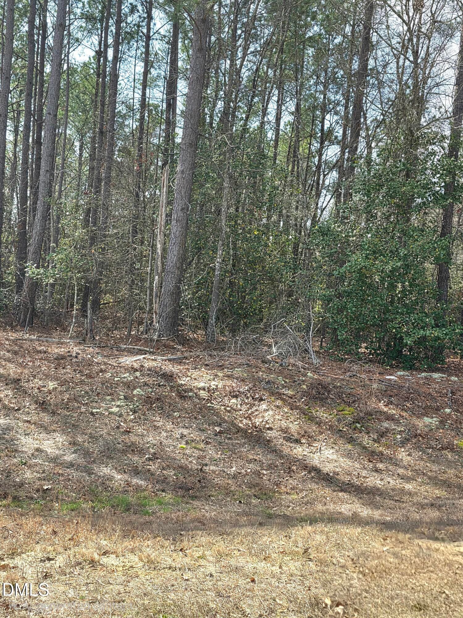 20260306_111753(1) - 275 Raynor Sands Drive, Dunn, NC 28334, Dunn