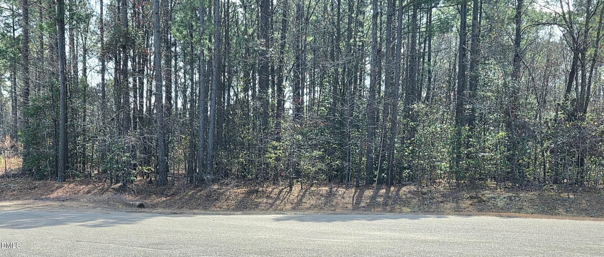 20260306_111830 - 275 Raynor Sands Drive, Dunn, NC 28334