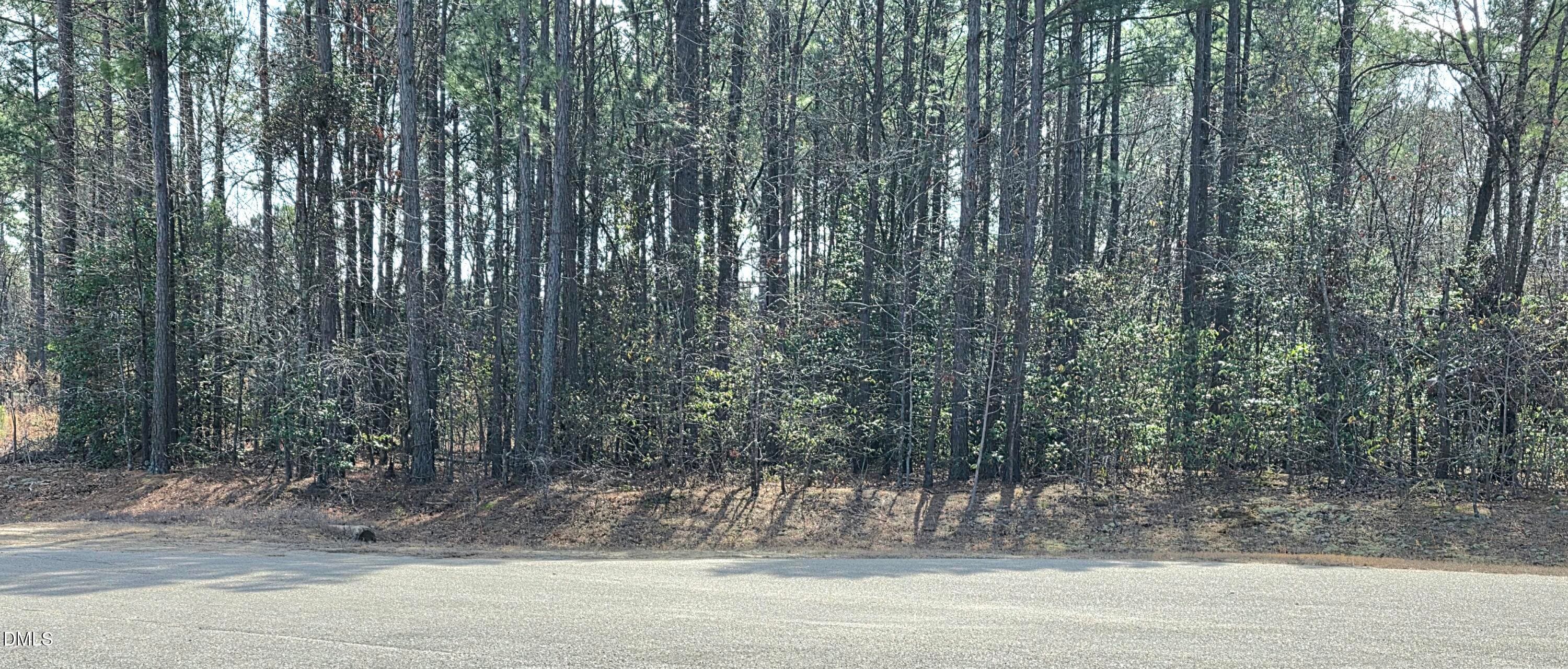20260306_111830 - 275 Raynor Sands Drive, Dunn, NC 28334, Dunn