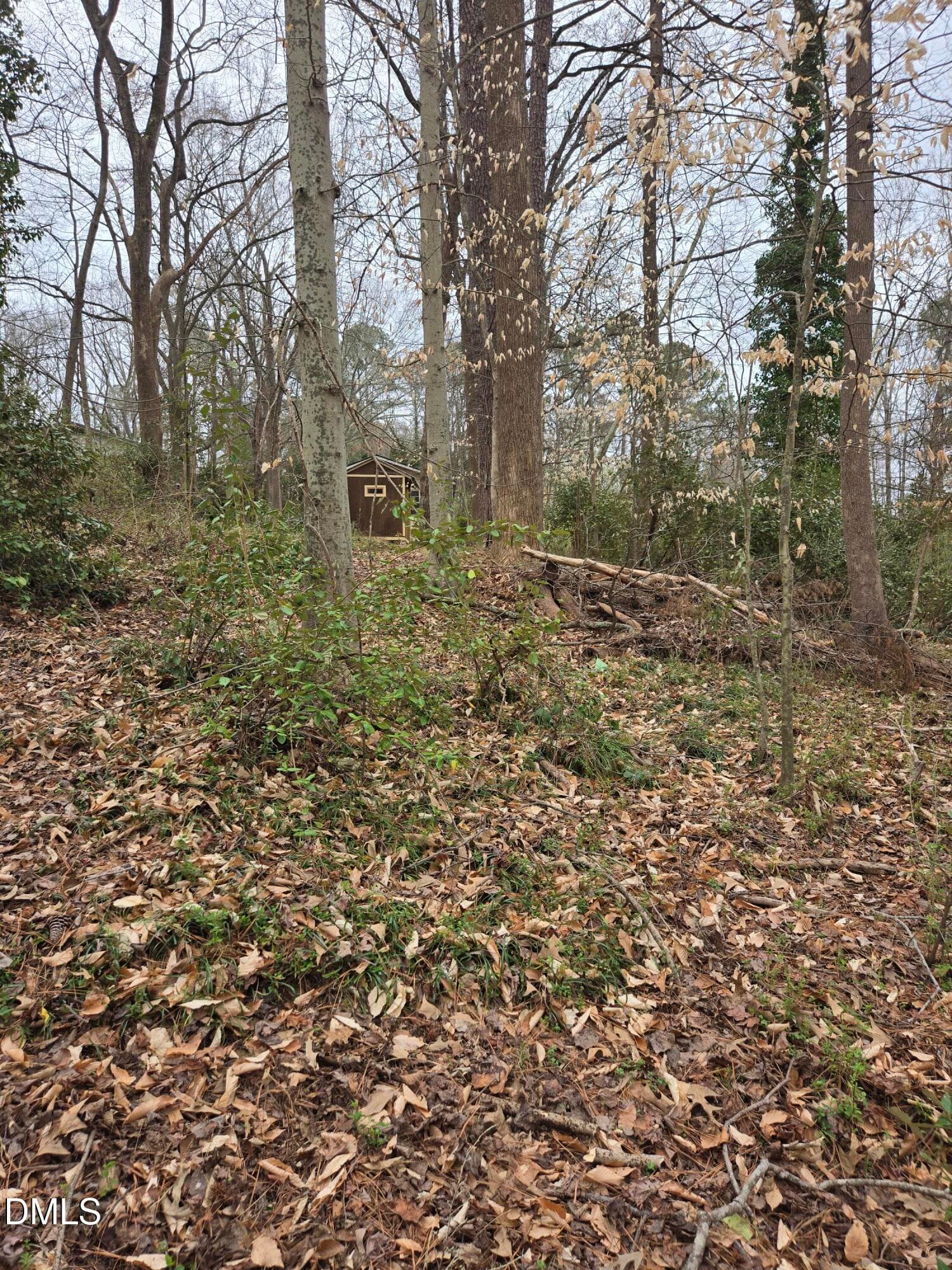 image_8 - 0 Johnson Street, Chapel Hill, NC 27516, Chapel Hill