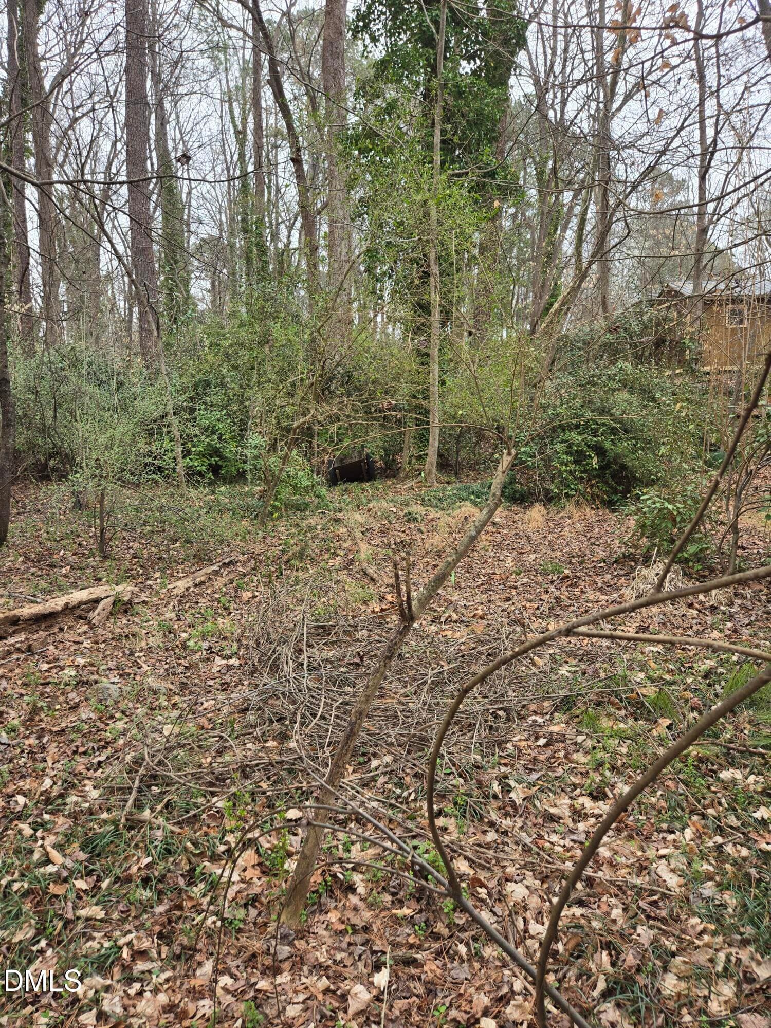 image_13 - 0 Johnson Street, Chapel Hill, NC 27516, Chapel Hill