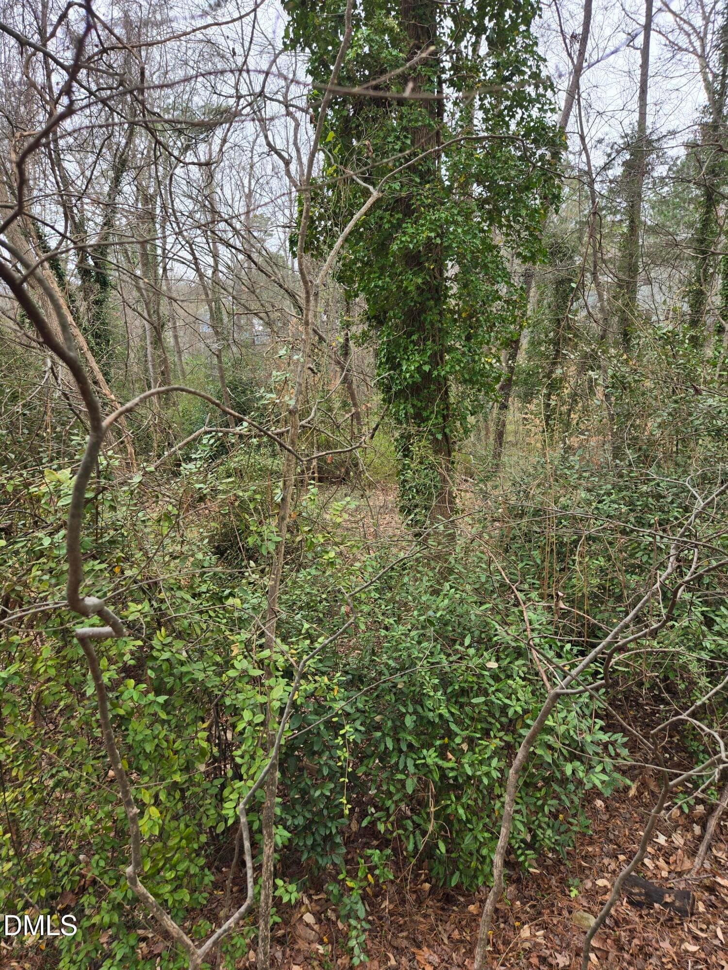 image_15 - 0 Johnson Street, Chapel Hill, NC 27516, Chapel Hill