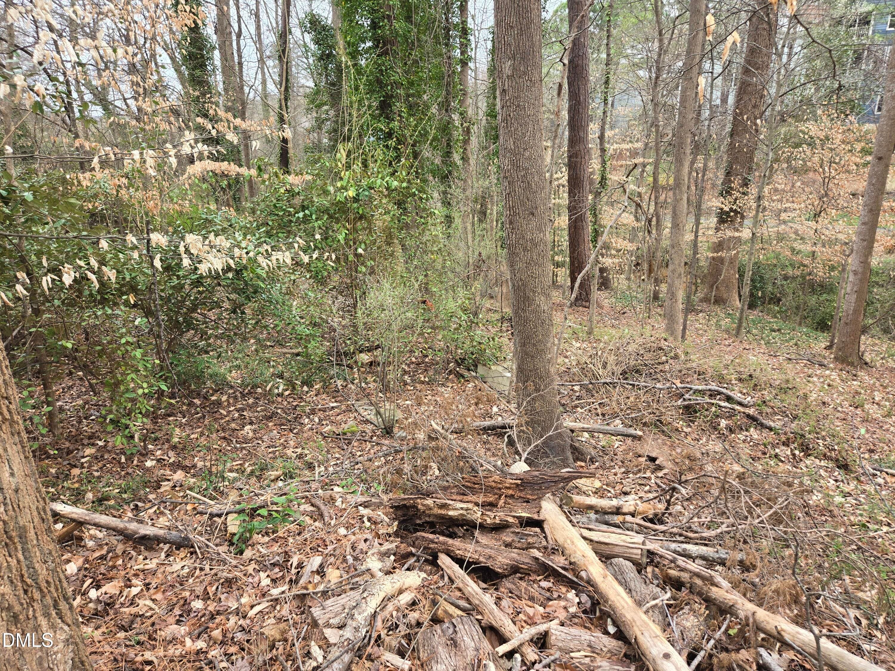 image_18 - 0 Johnson Street, Chapel Hill, NC 27516, Chapel Hill