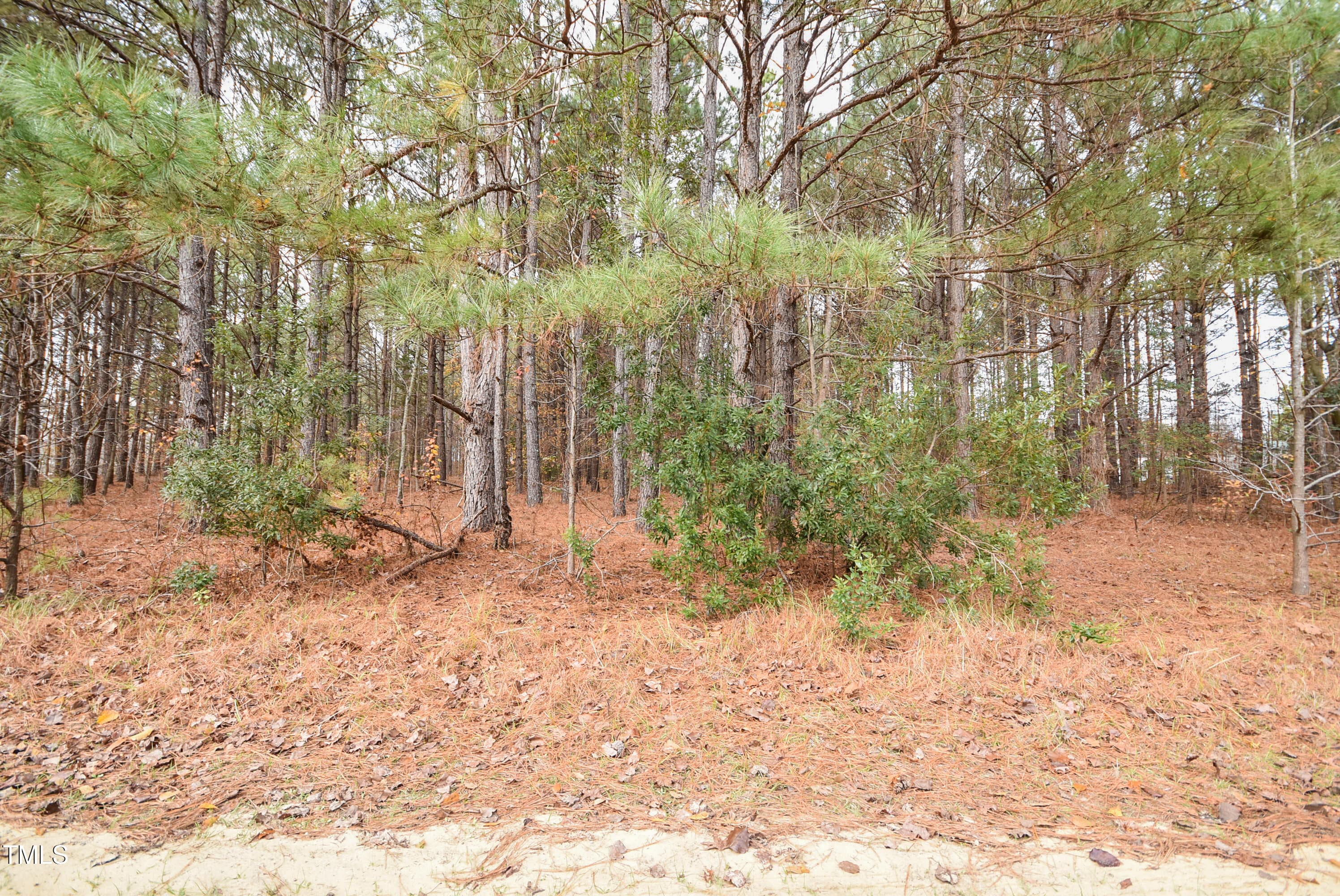 BobLeeLane-15 - Parcel #3 Bob Lee Lane, Dunn, NC 28334, Dunn