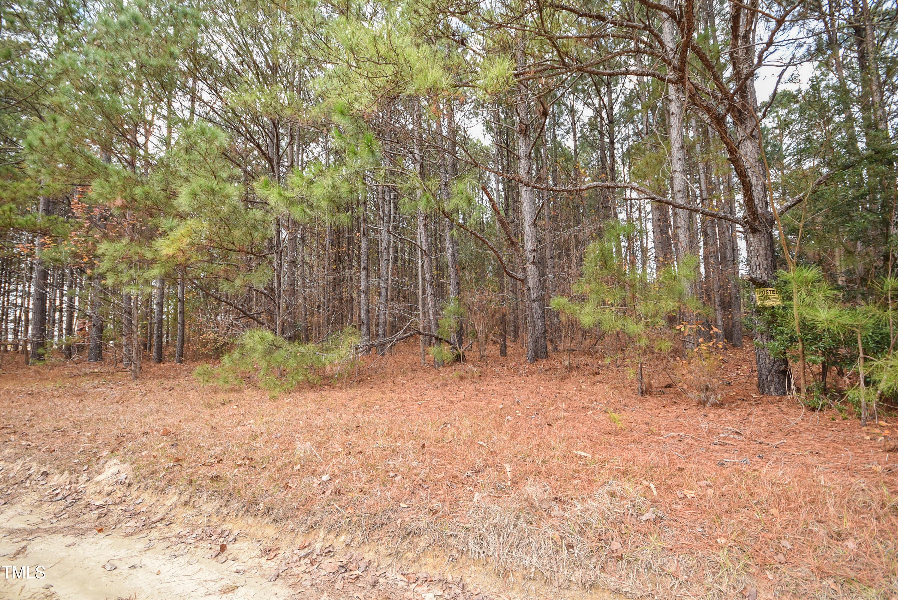 BobLeeLane-16 - Parcel #3 Bob Lee Lane, Dunn, NC 28334, Dunn