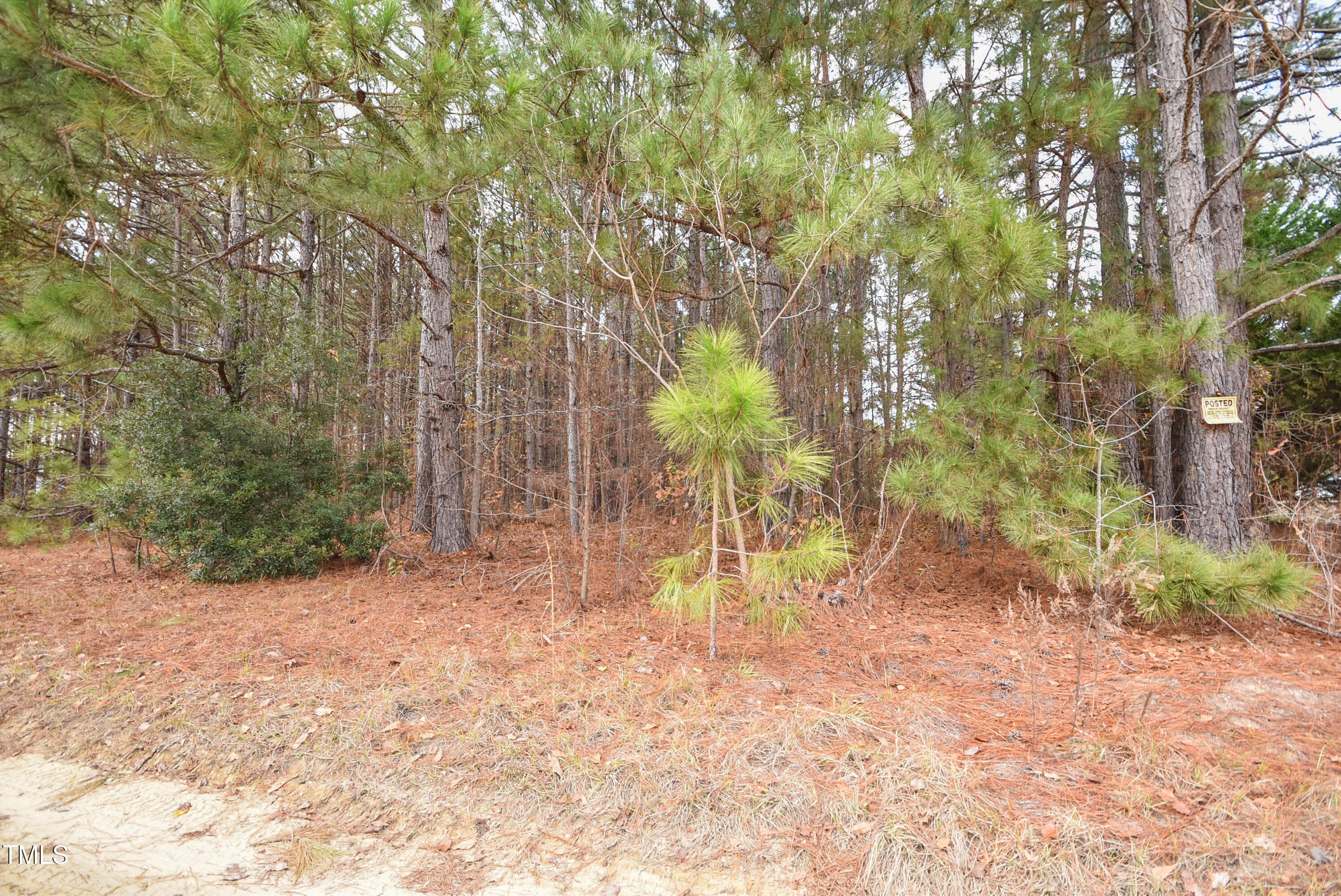BobLeeLane-17 - Parcel #3 Bob Lee Lane, Dunn, NC 28334, Dunn