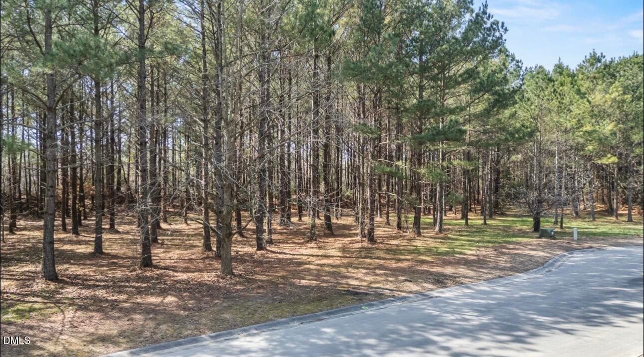 IMG_0901 - 121 W Grandiflora Drive, Wallace, NC 28466, Wallace