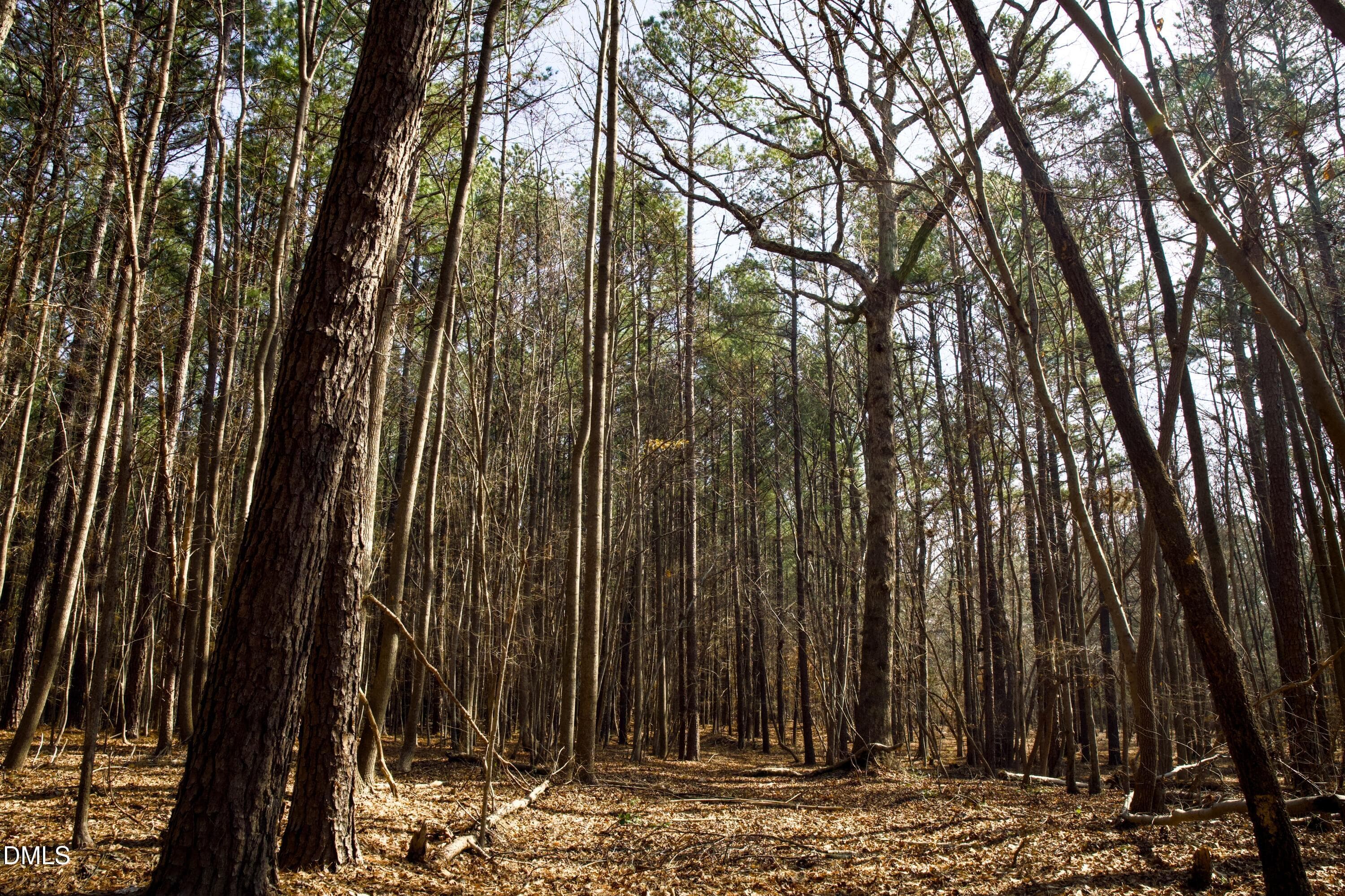 lot 7 - 7023 Southern Trail, Chapel Hill, NC 27516, Chapel Hill