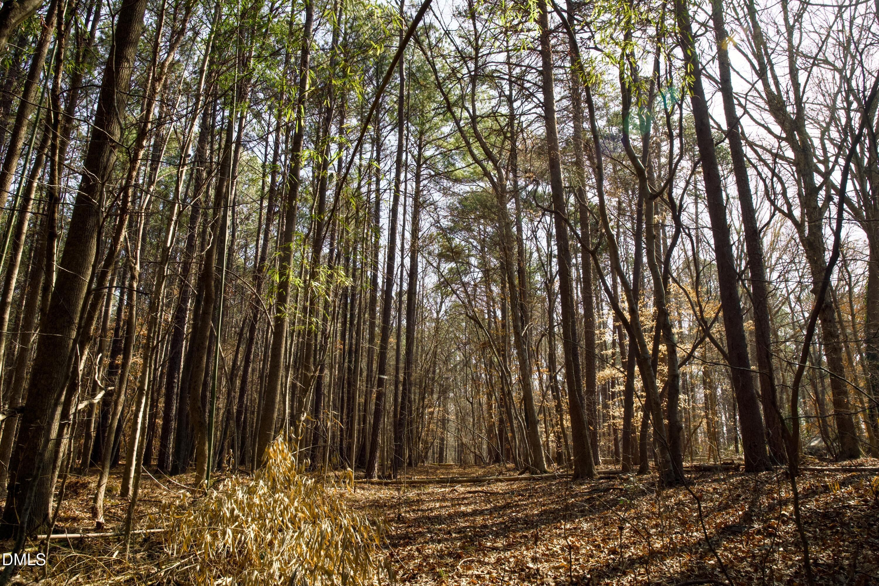 lot 7 - 7023 Southern Trail, Chapel Hill, NC 27516, Chapel Hill