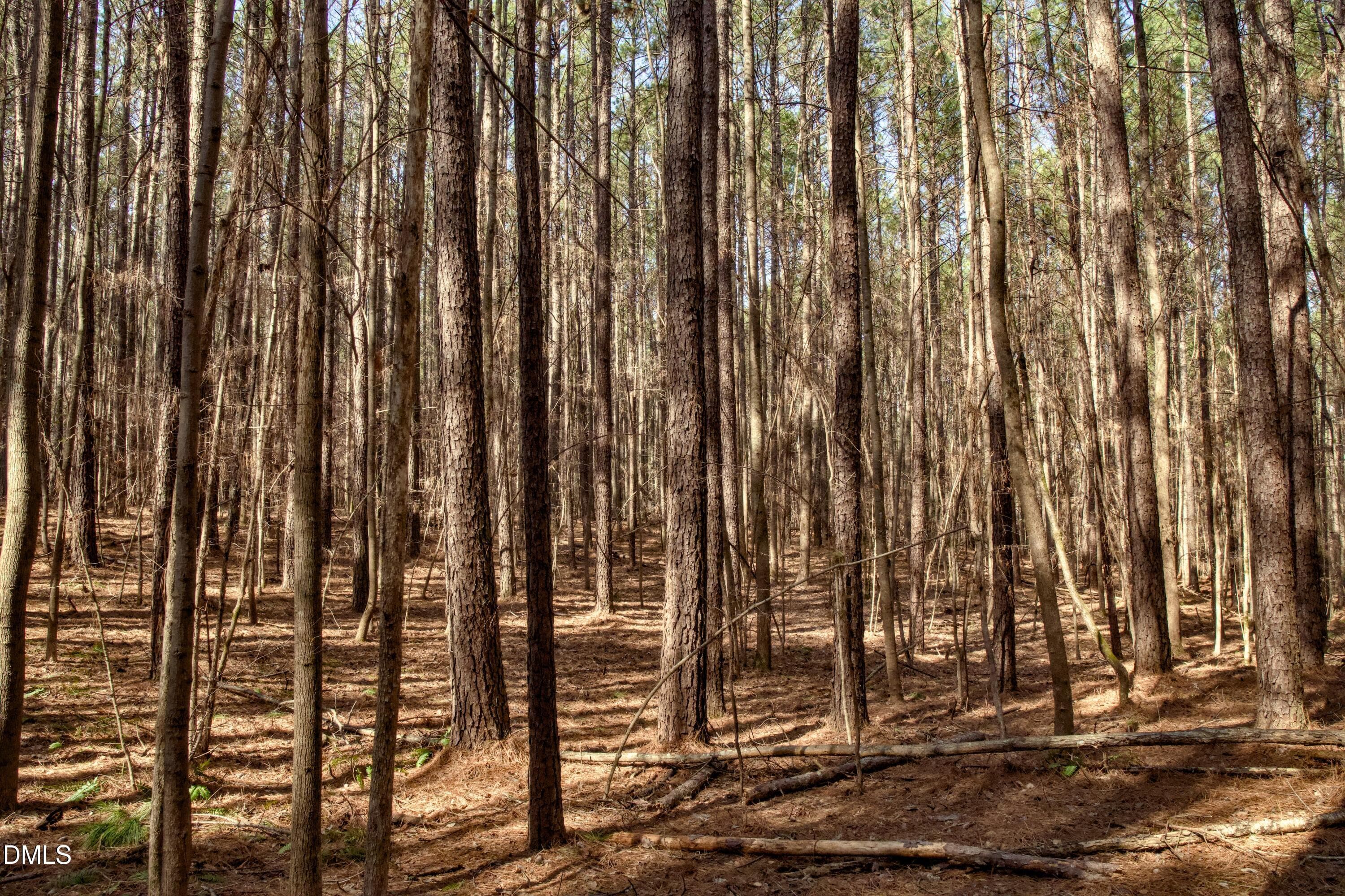 lot 7 - 7023 Southern Trail, Chapel Hill, NC 27516, Chapel Hill
