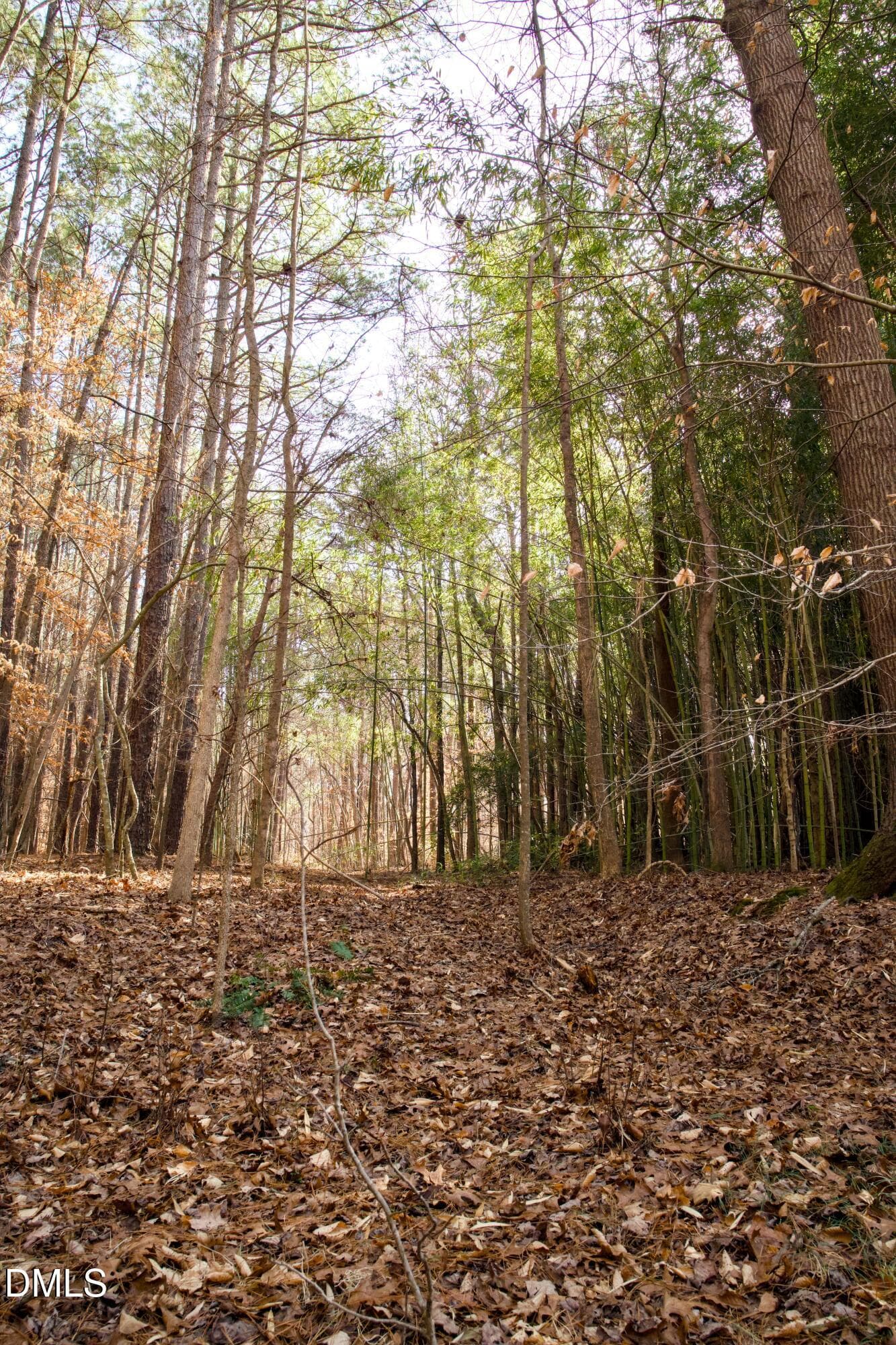 lot 8-1b - 7023 Southern Trail, Chapel Hill, NC 27516, Chapel Hill