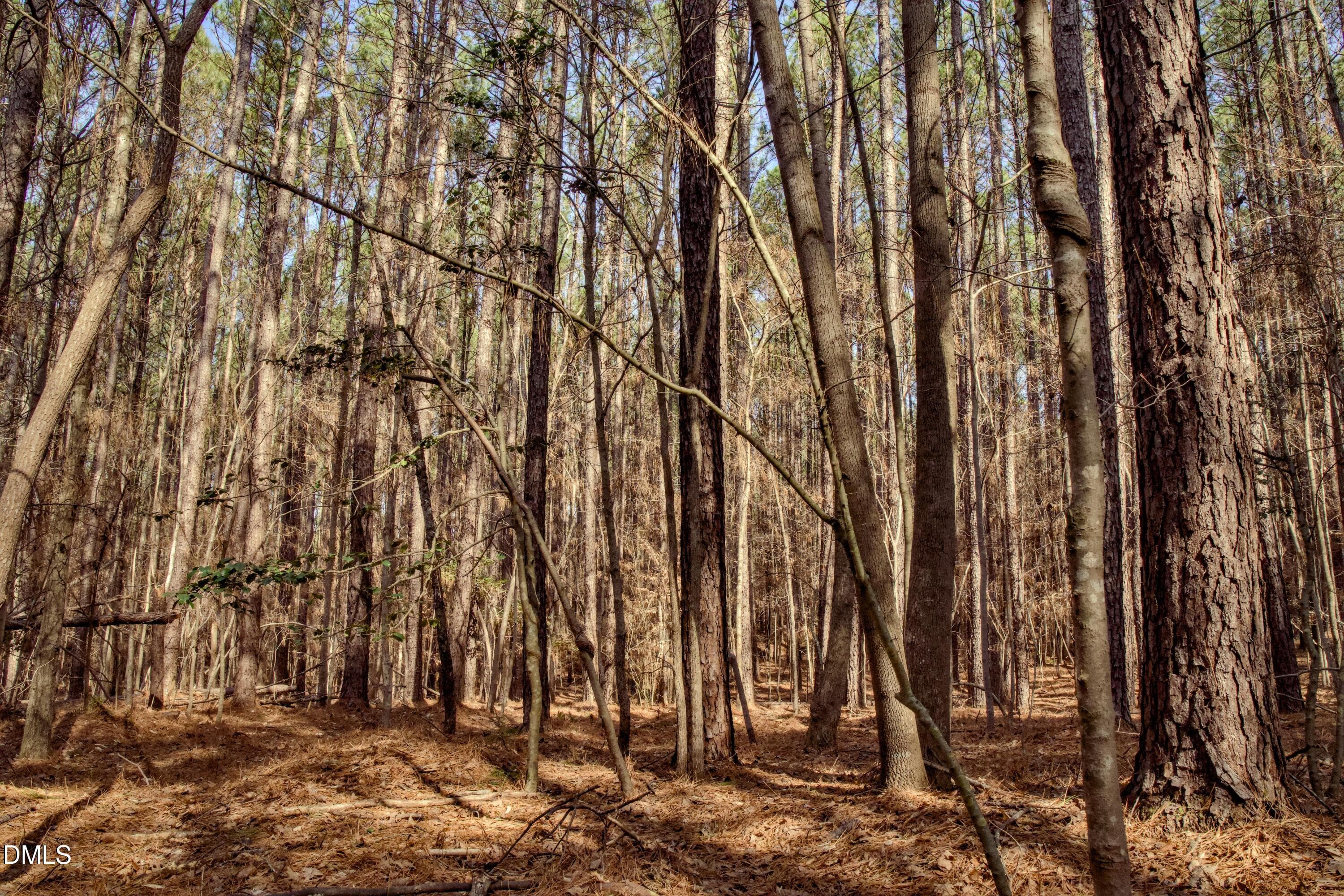 lot 8-3 - 7023 Southern Trail, Chapel Hill, NC 27516, Chapel Hill