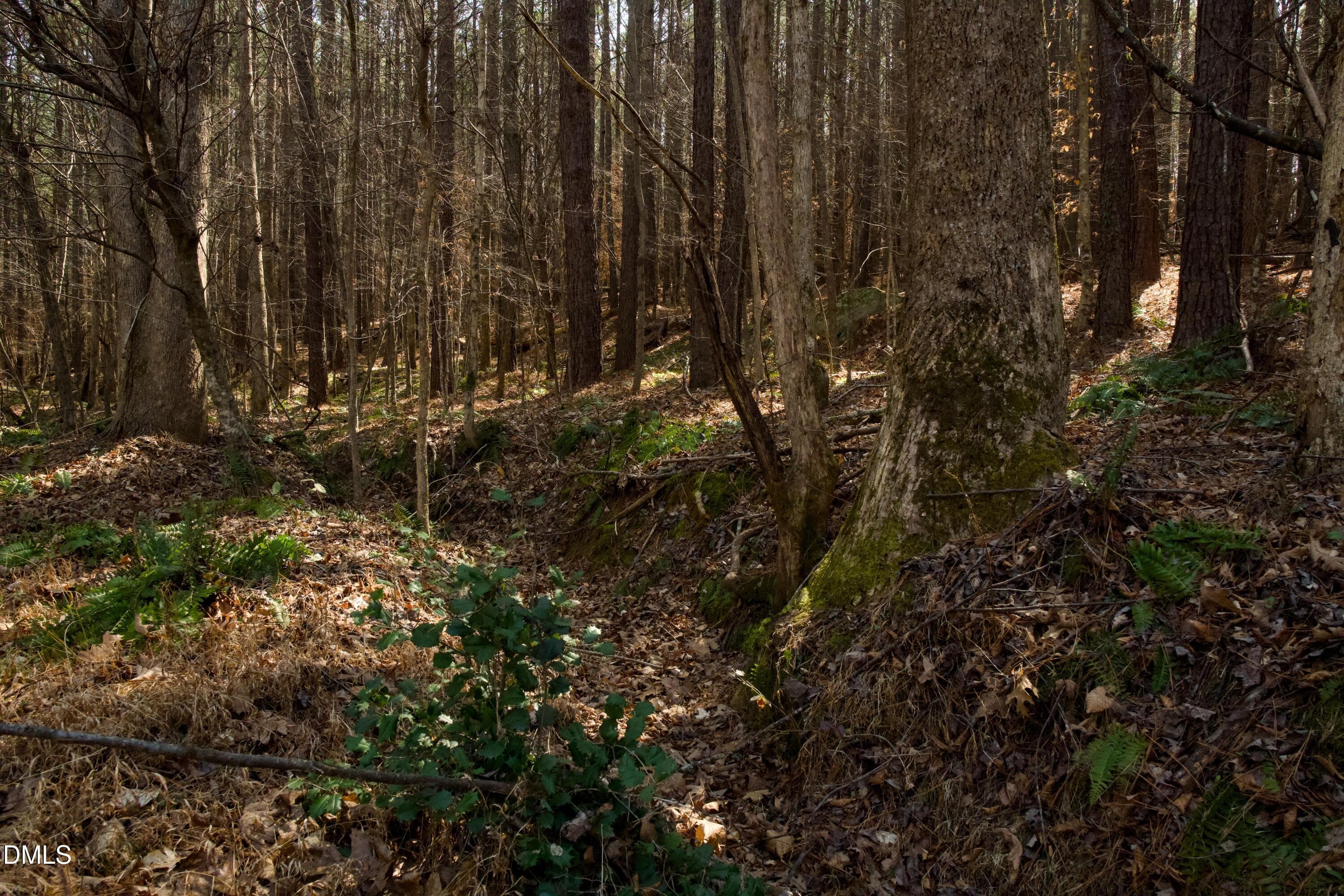 lot 8-6 - 7023 Southern Trail, Chapel Hill, NC 27516, Chapel Hill