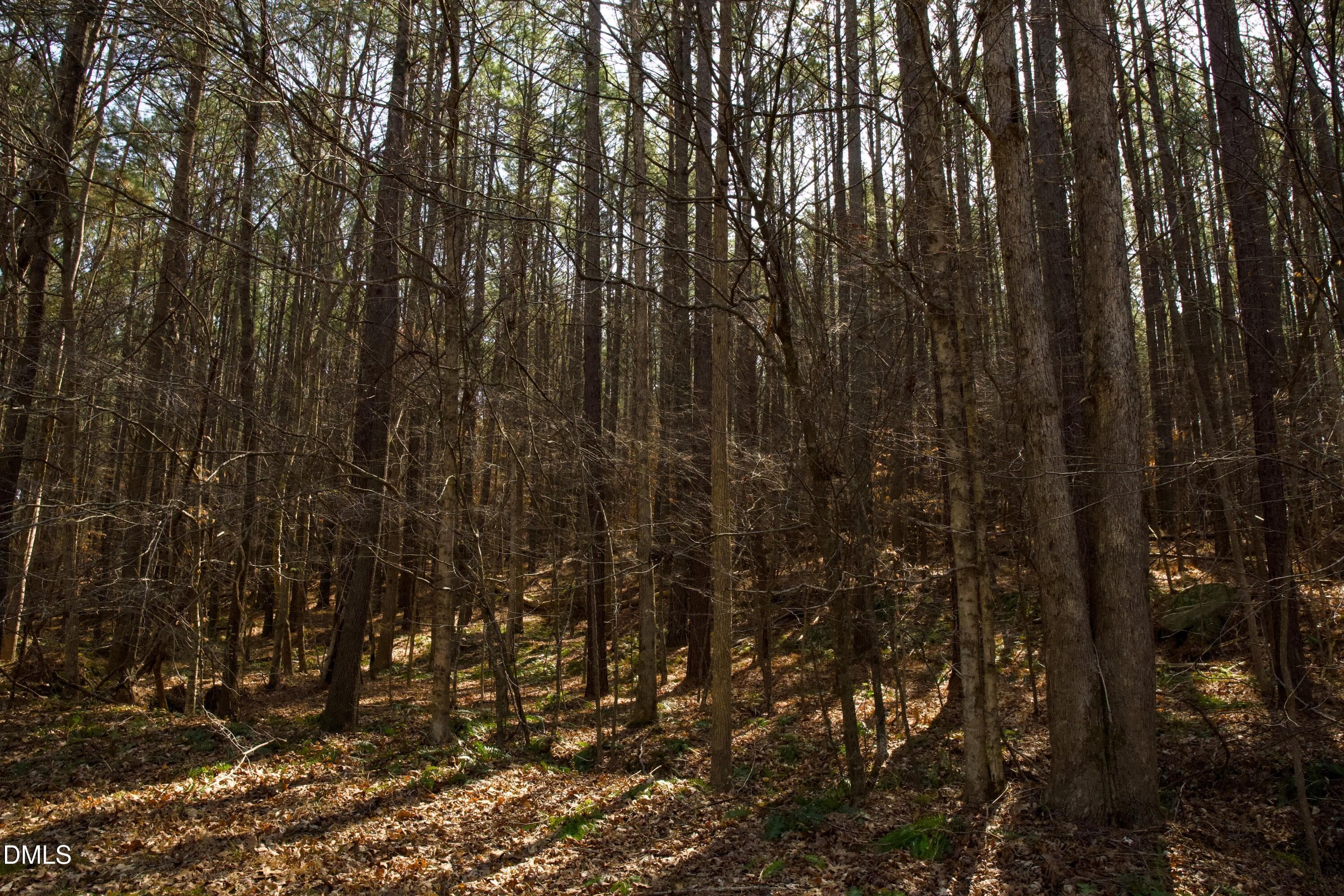 lot8-7 - 7023 Southern Trail, Chapel Hill, NC 27516, Chapel Hill