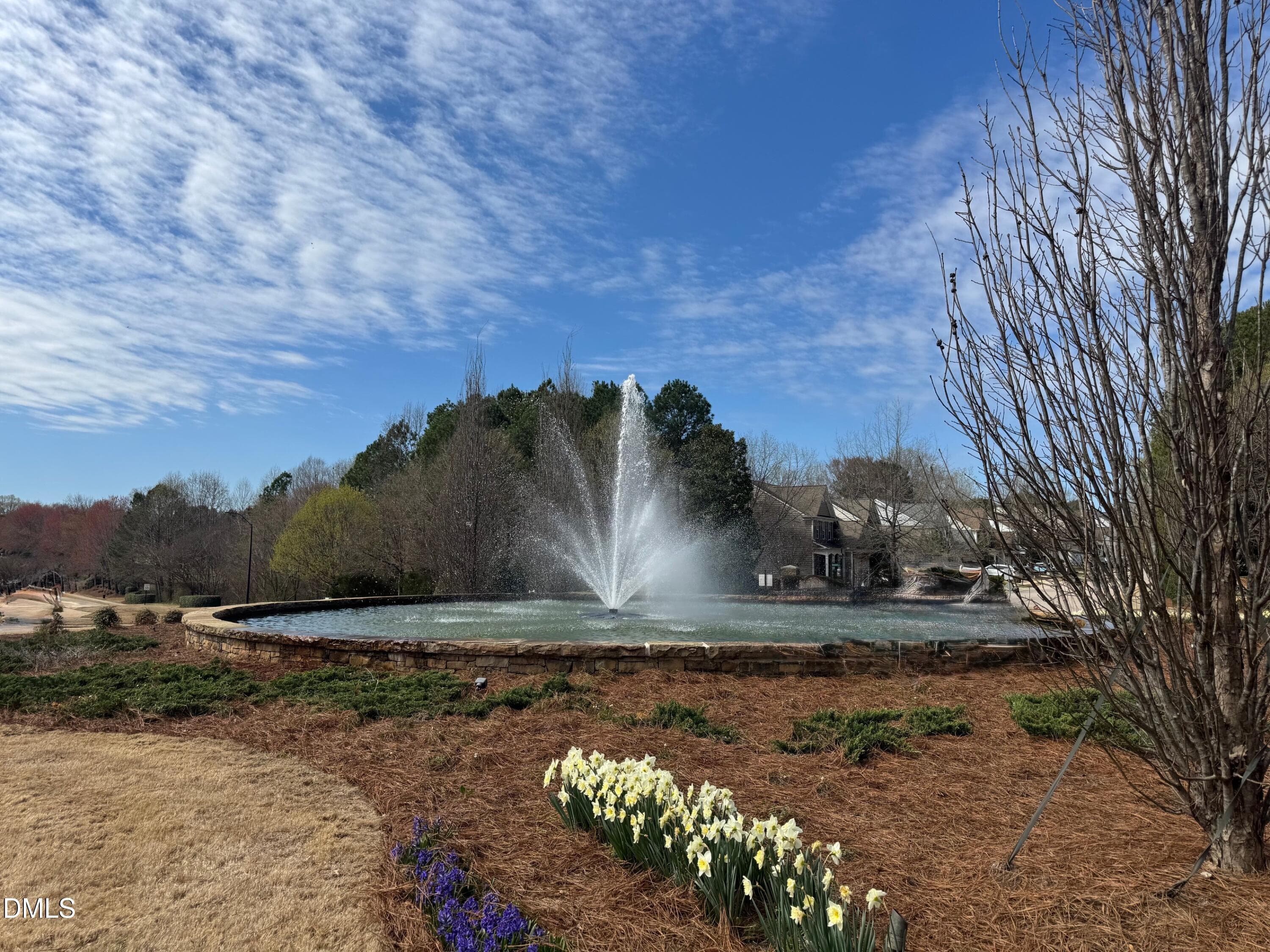 Wakefield Fountain - 2325 Victoria Park Lane, Raleigh, NC 27614, Raleigh