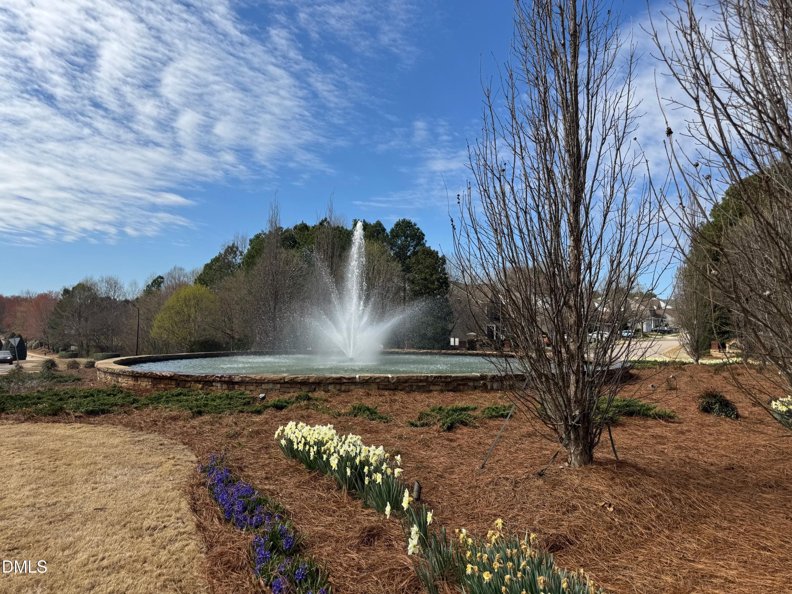 IMG_1876 - 2325 Victoria Park Lane, Raleigh, NC 27614, Raleigh