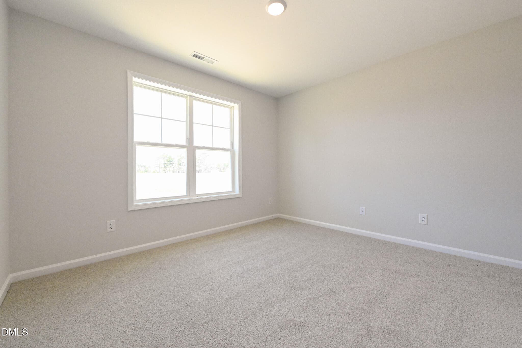 024 - 263 Black Duck Lane (lot 94), Lillington, NC 27546